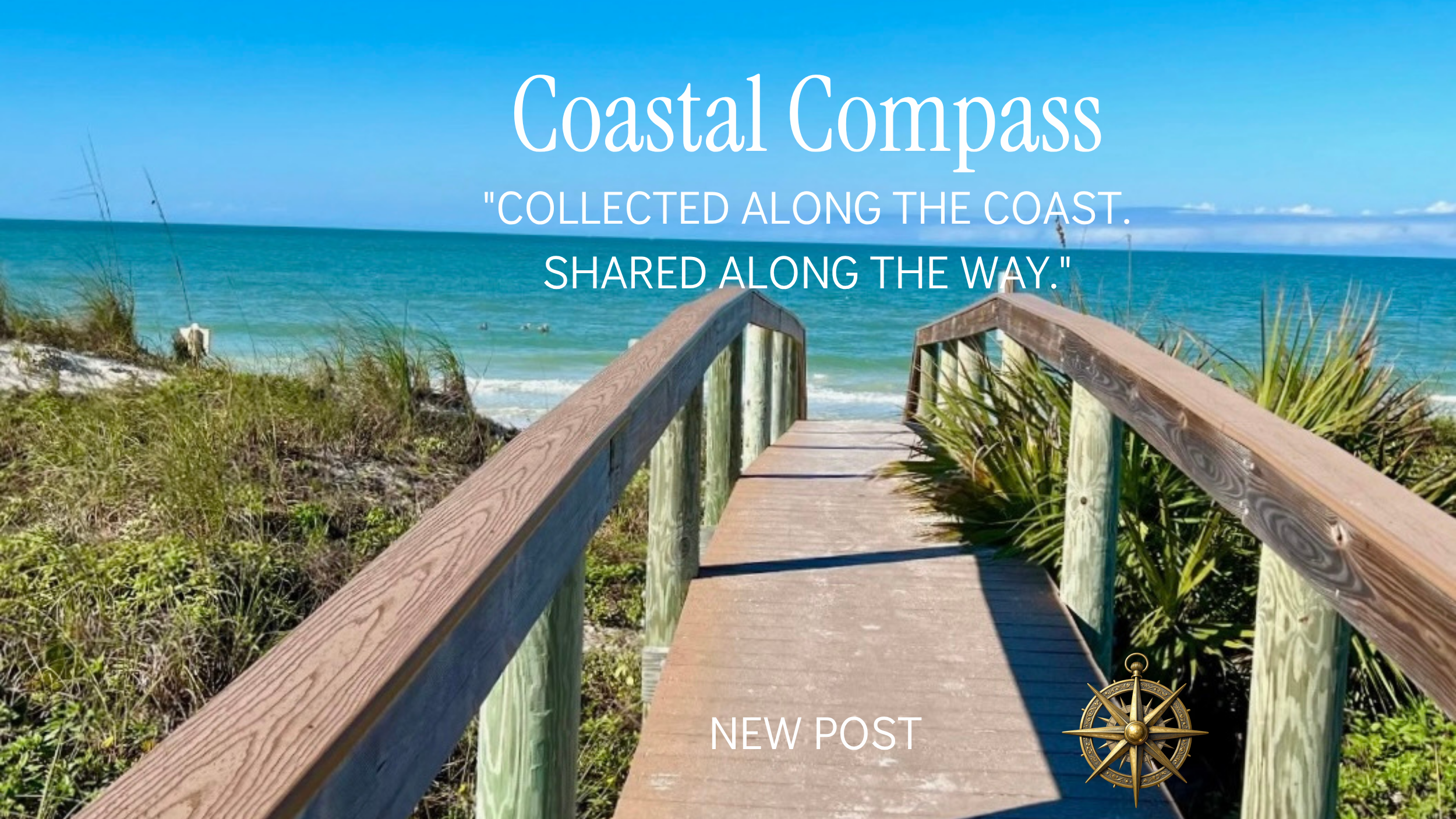 Coastal Compass Series:  Artist Spotlight