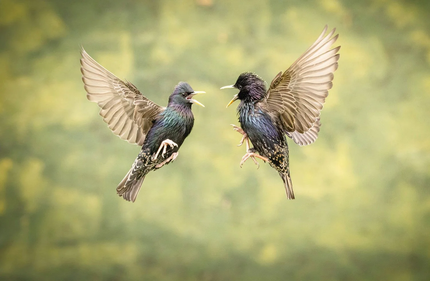 Ludlow Photographic Club Exhibition