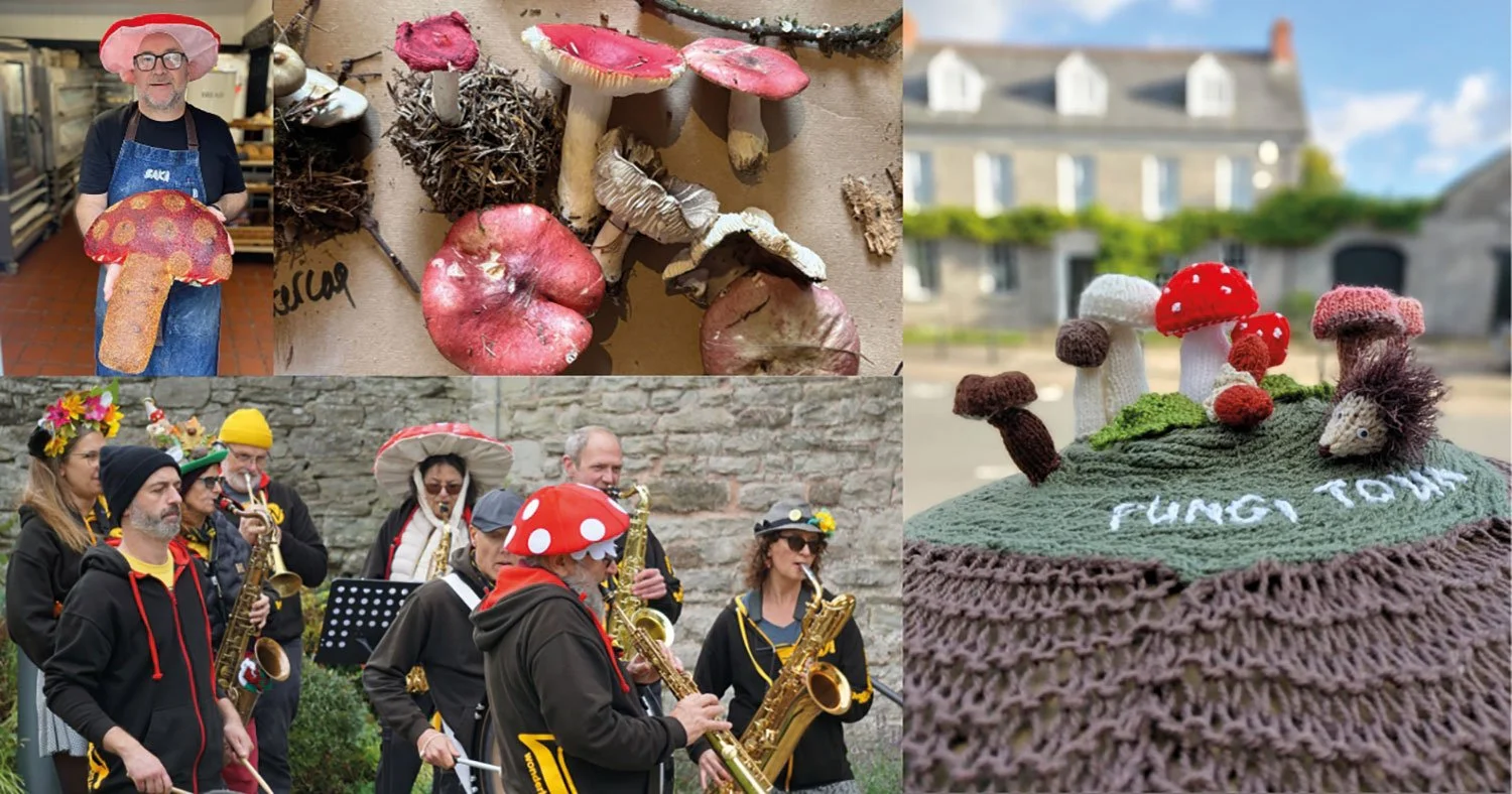 Fungi Town Returns!