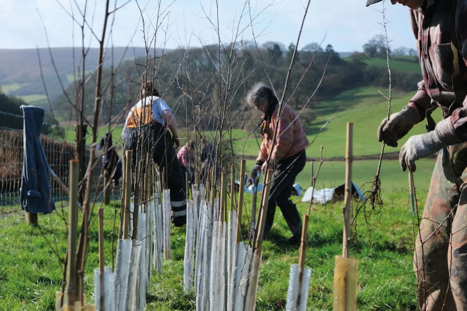 Hedgerows in the Hills: A Unique Countryside Event