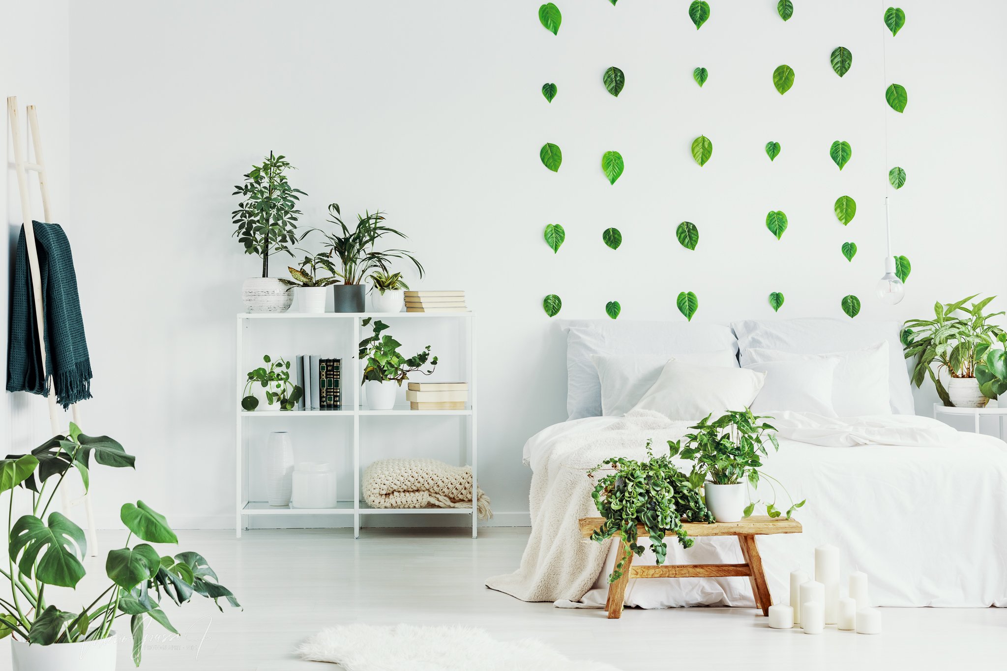 Interior Photos for web site VGJ-25.jpg