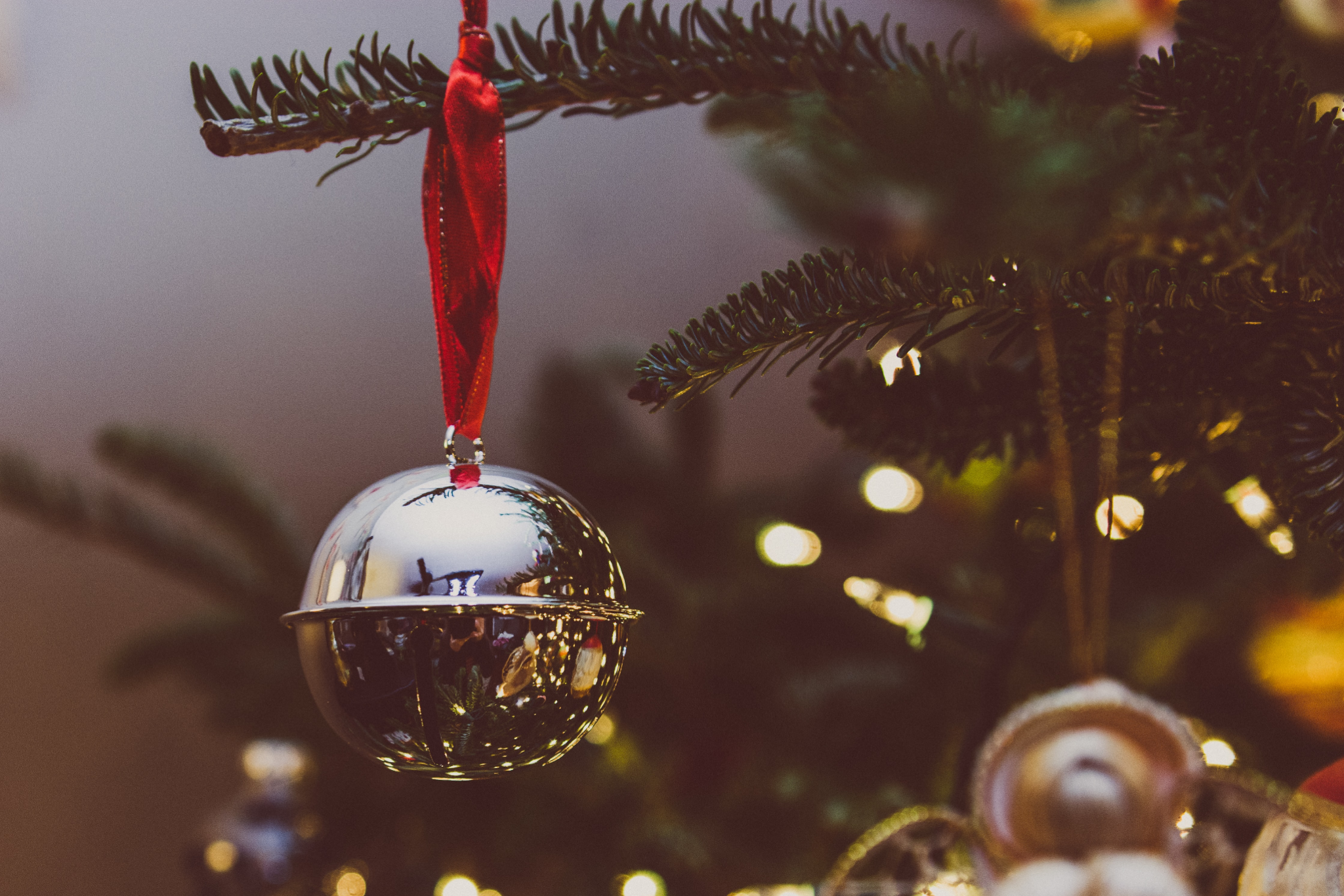 December Newsletter 2022