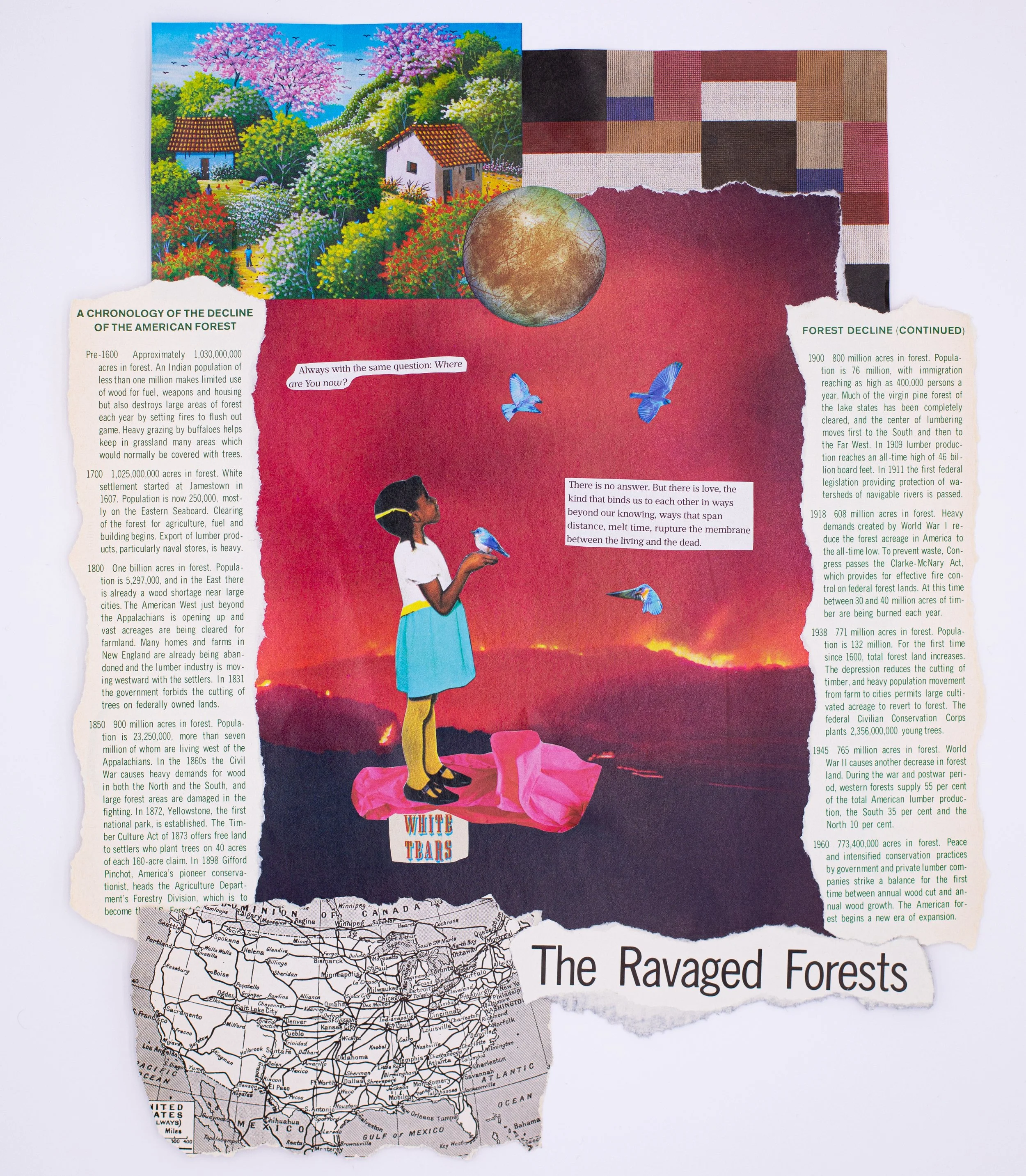 The Ravaged (2023), Paper collage on cardstock, 12.5x15 in.