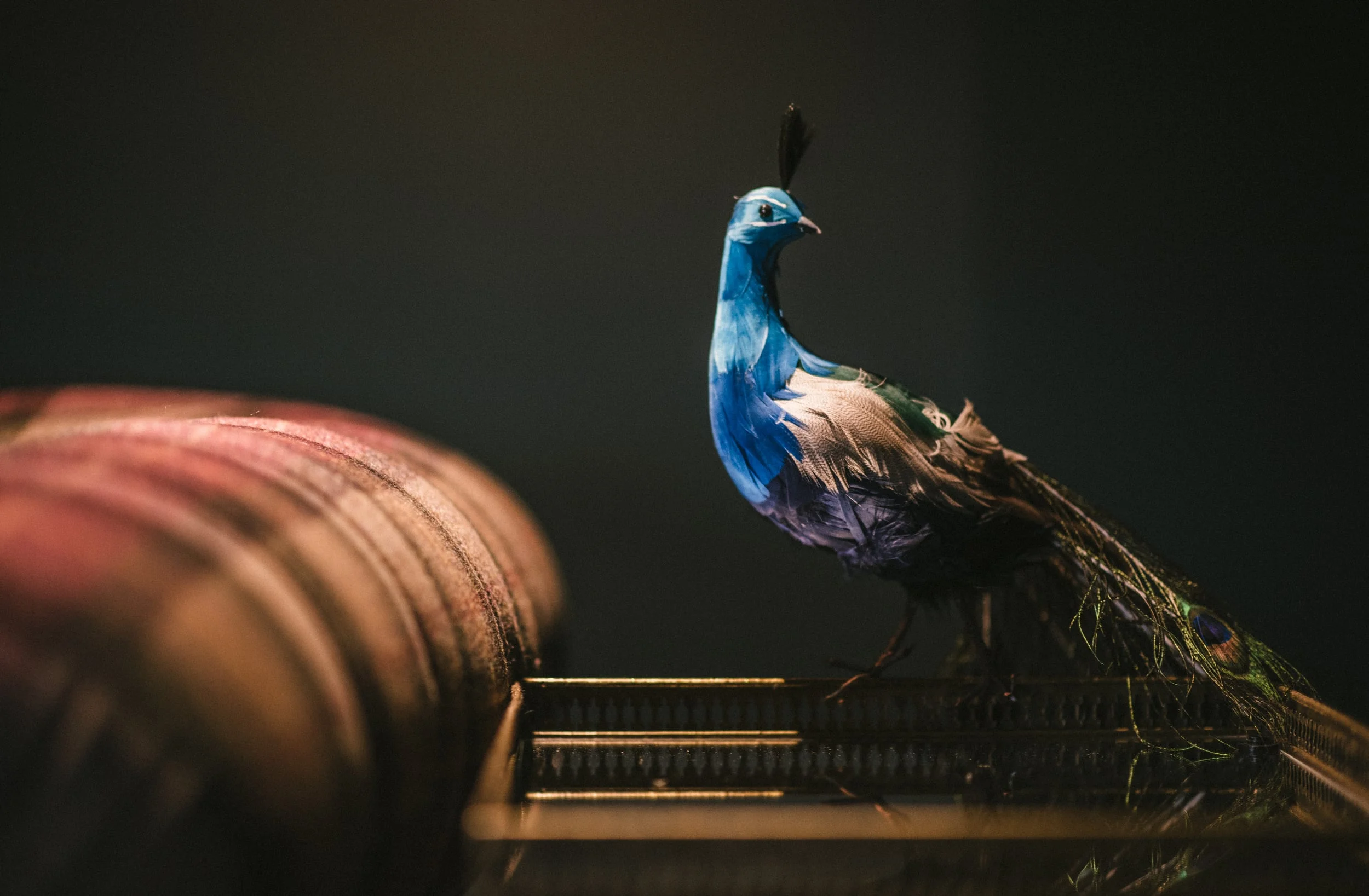 Have fun with your design