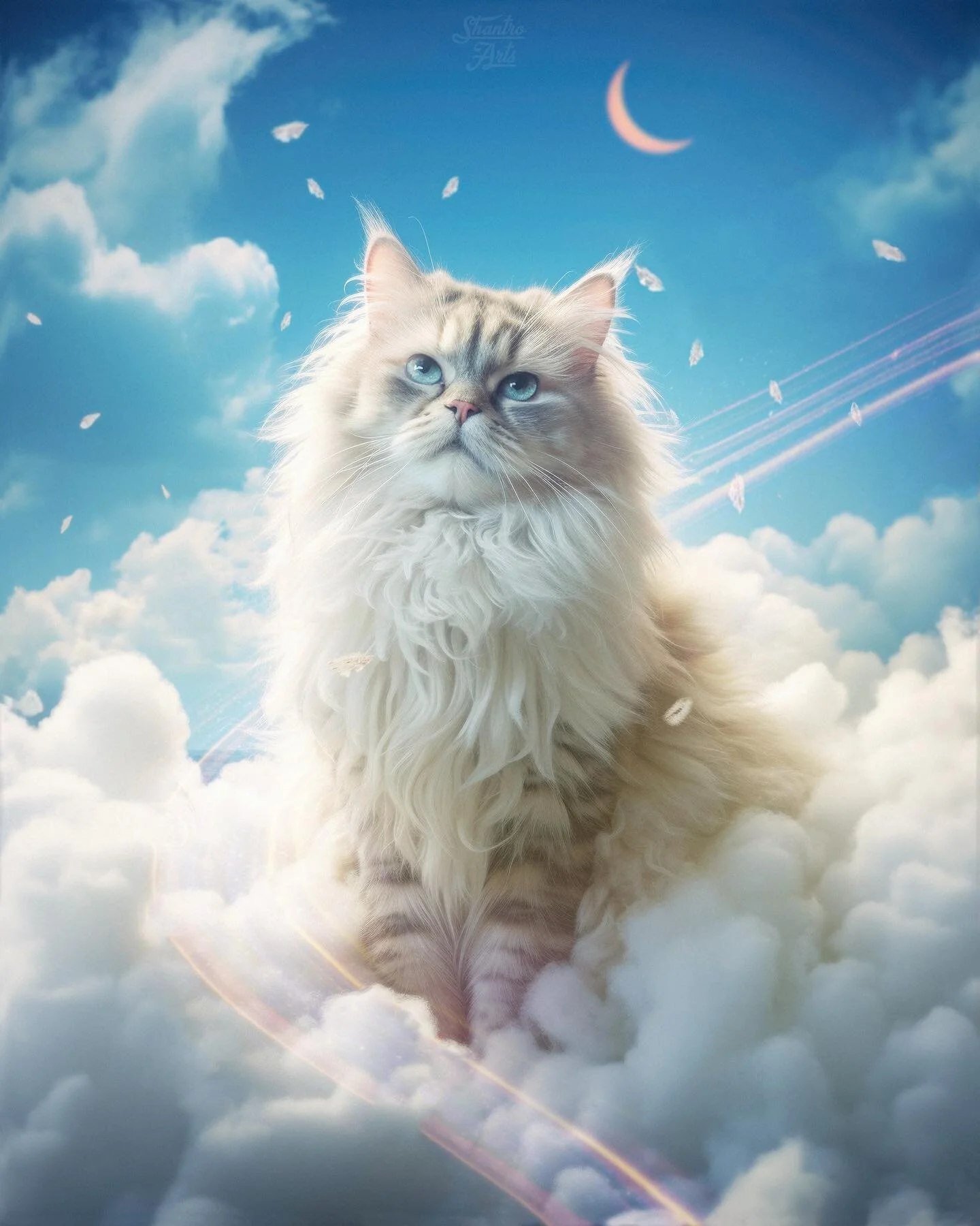 &ldquo;𝗪𝗵𝗶𝘀𝗸𝗲𝗿𝘀 𝗶𝗻 𝘁𝗵𝗲 𝗛𝗲𝗮𝘃𝗲𝗻𝘀&quot;
&bull;
Two years ago, I&rsquo;ve made a similar concept in an artwork. This time, I have tried to challenge myself in such a way to focus even more on the details, depth and implementing my own