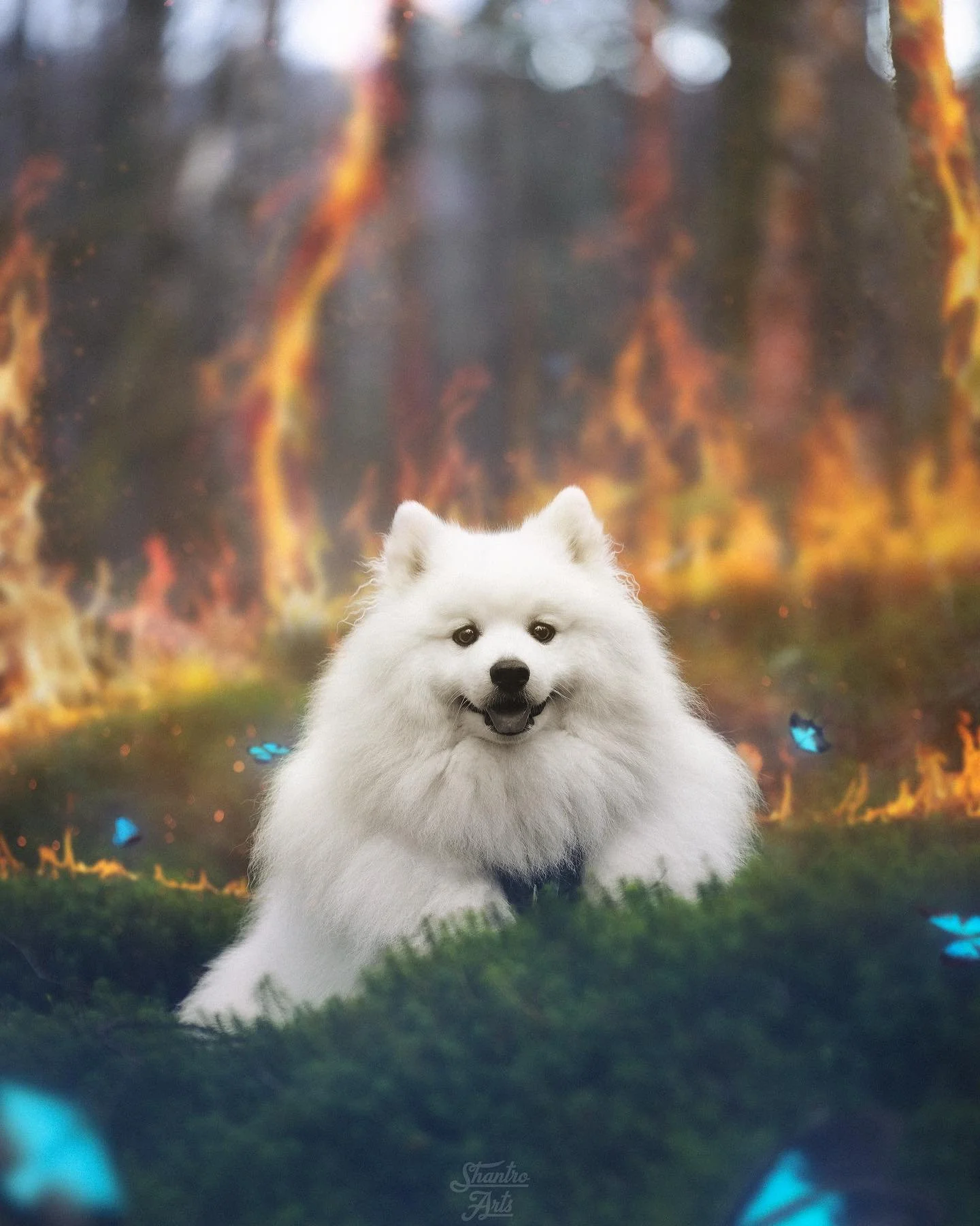 &ldquo;𝗙𝗼𝗰𝘂𝘀 𝗼𝗻 𝘁𝗵𝗲 𝗕𝗲𝗮𝘂𝘁𝘆&quot;
&bull;
Amidst the chaos and turbulence of life, choose to focus on the beauty that surrounds you. What you focus on grows. This artwork is all inspired by this saying. It's a reminder that even in the 