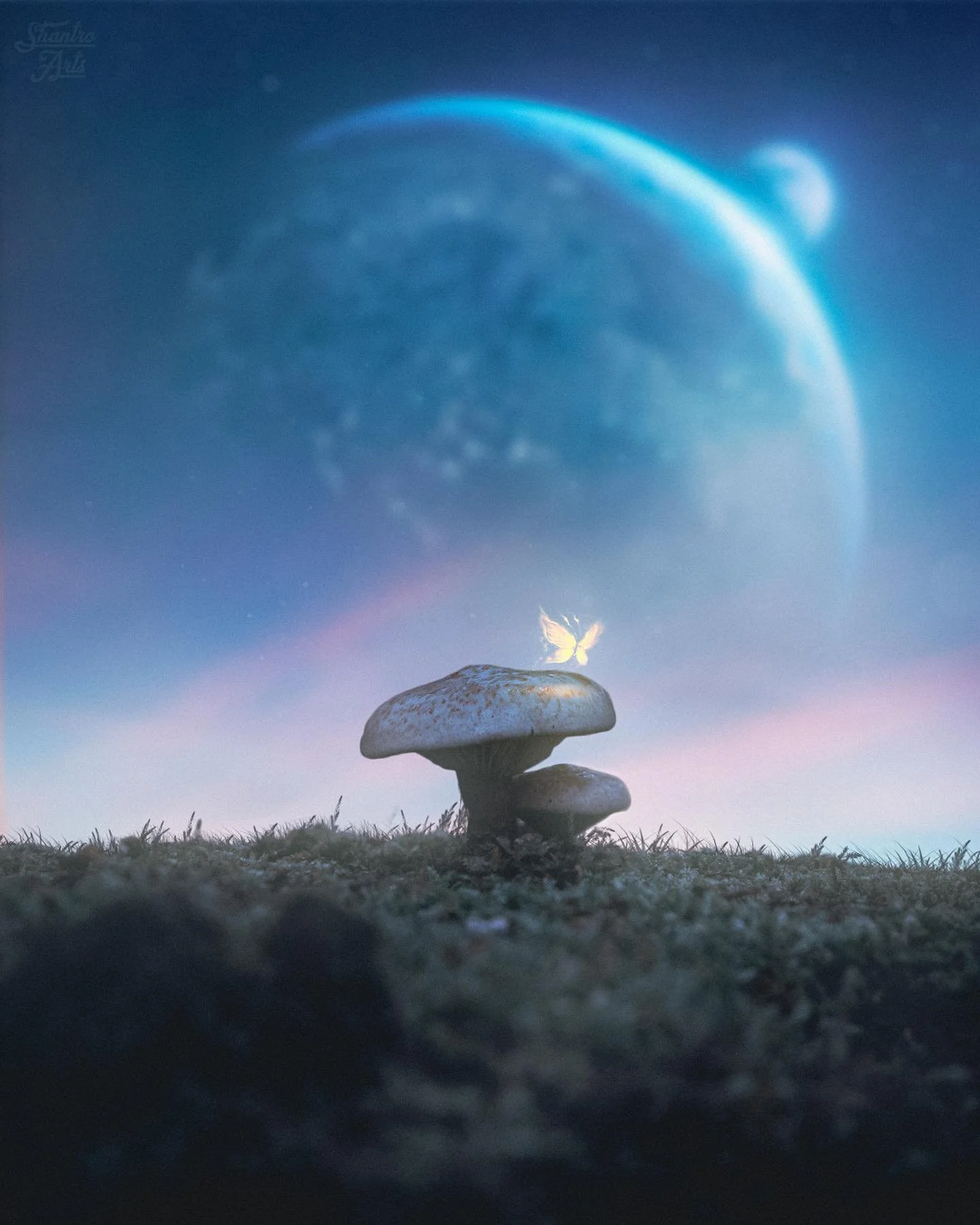 &ldquo;𝘼𝙪𝙩𝙪𝙢𝙣 𝙎𝙝𝙤𝙬𝙨 𝙐𝙨 𝙏𝙝𝙚 𝙋𝙤𝙬𝙚𝙧 𝙤𝙛 𝙇𝙚𝙩𝙩𝙞𝙣𝙜 𝙂𝙤&ldquo;
&bull;
&bull;
2-year anniversary of Shantro Arts. And what a beautiful look back on it! With much trial and error so many wonderful things happened on this page. Ev