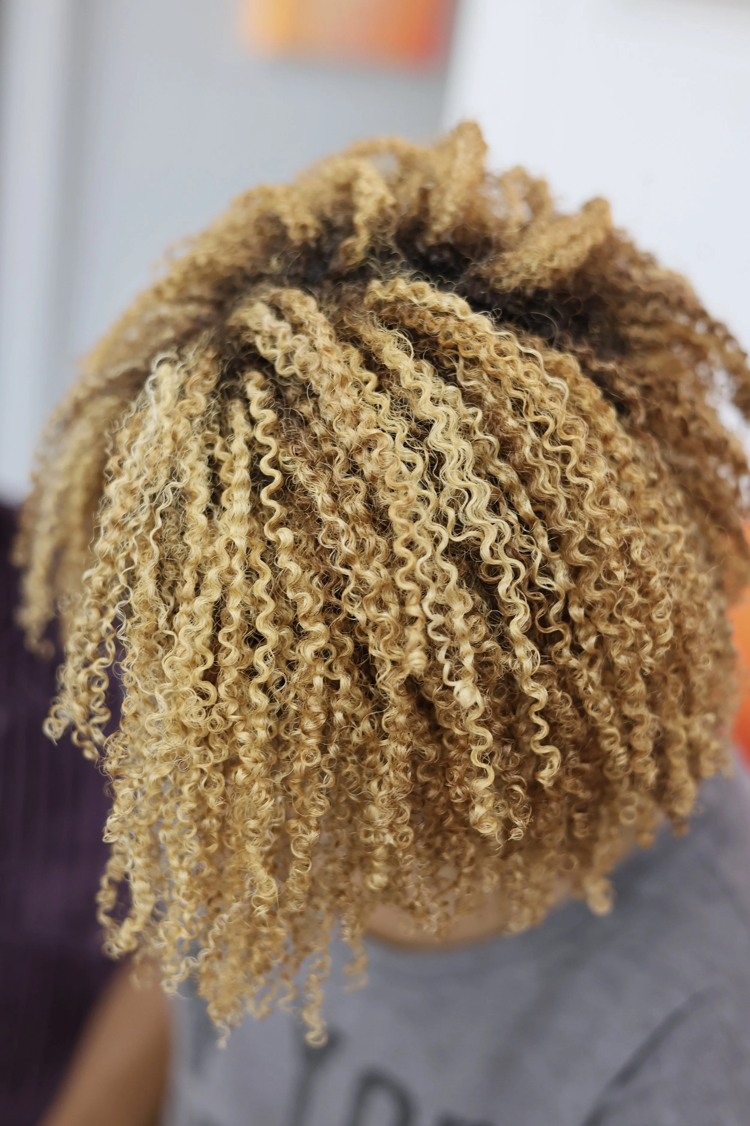 Comprehensive Color Design & Nourish Refinement Cut