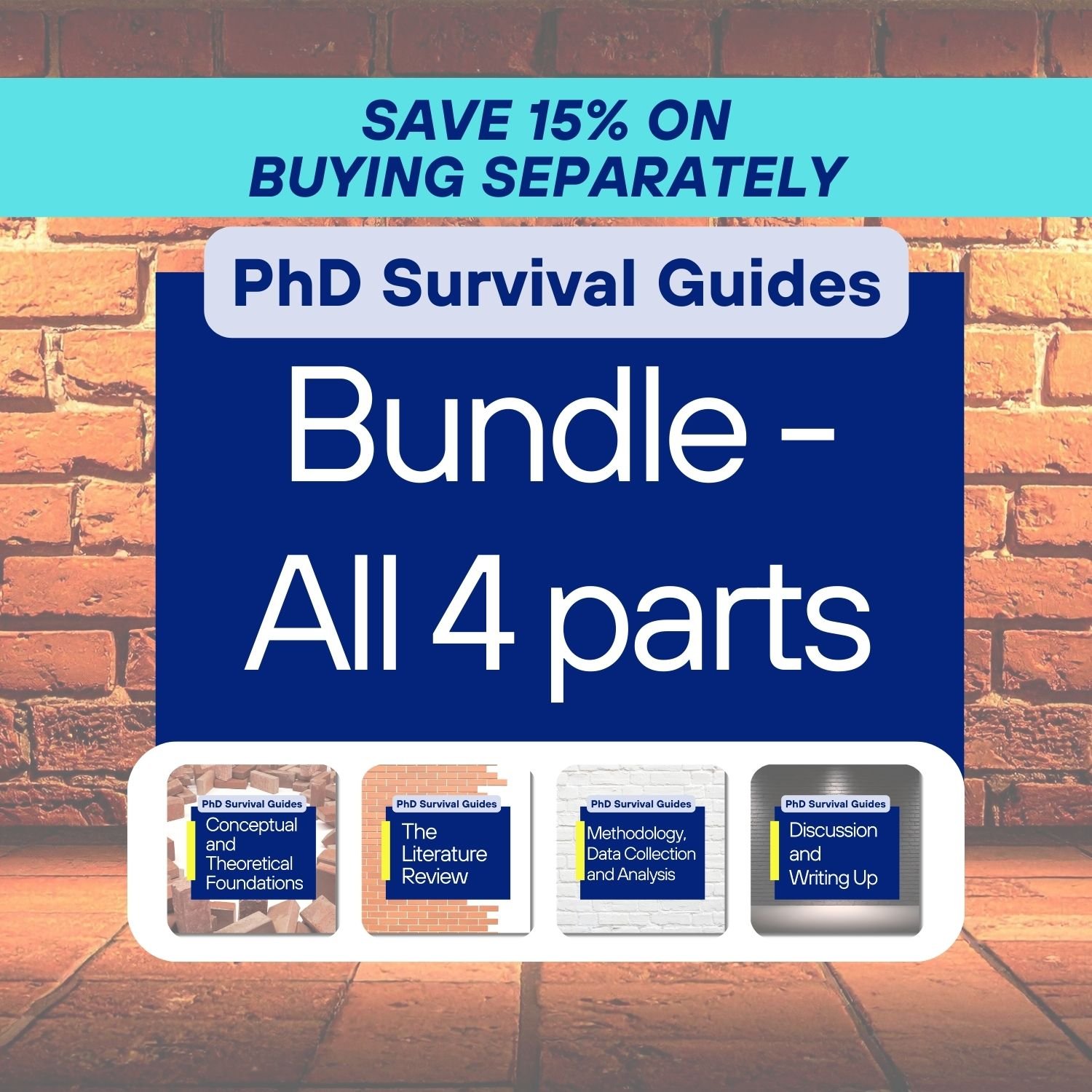Bundle - PhD Survival Guides
