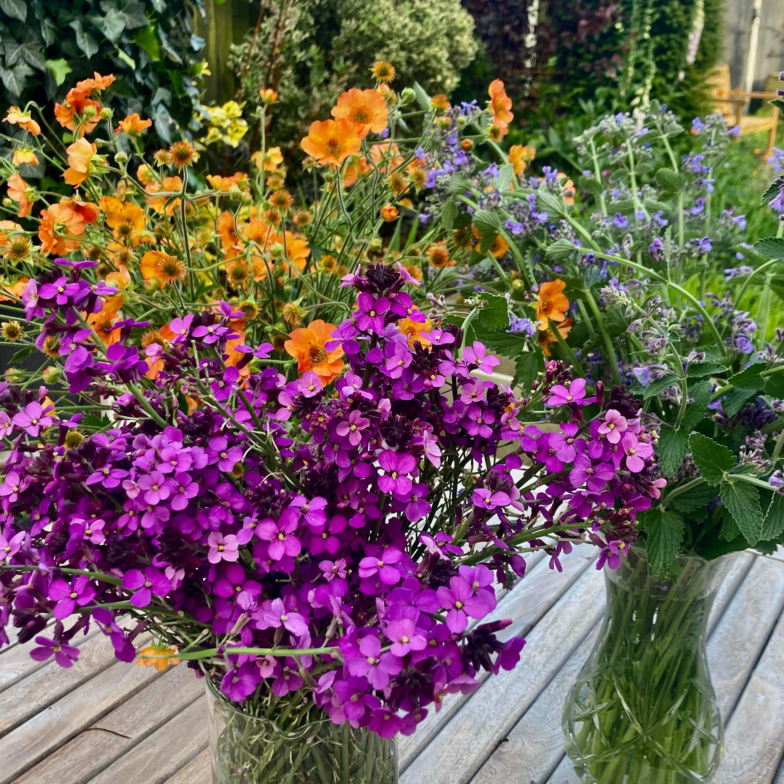 Pleasing byproduct of today&rsquo;s &lsquo;Chelsea Chop&rsquo; #chelseachop #gardendesign #cotswoldgardenstudio