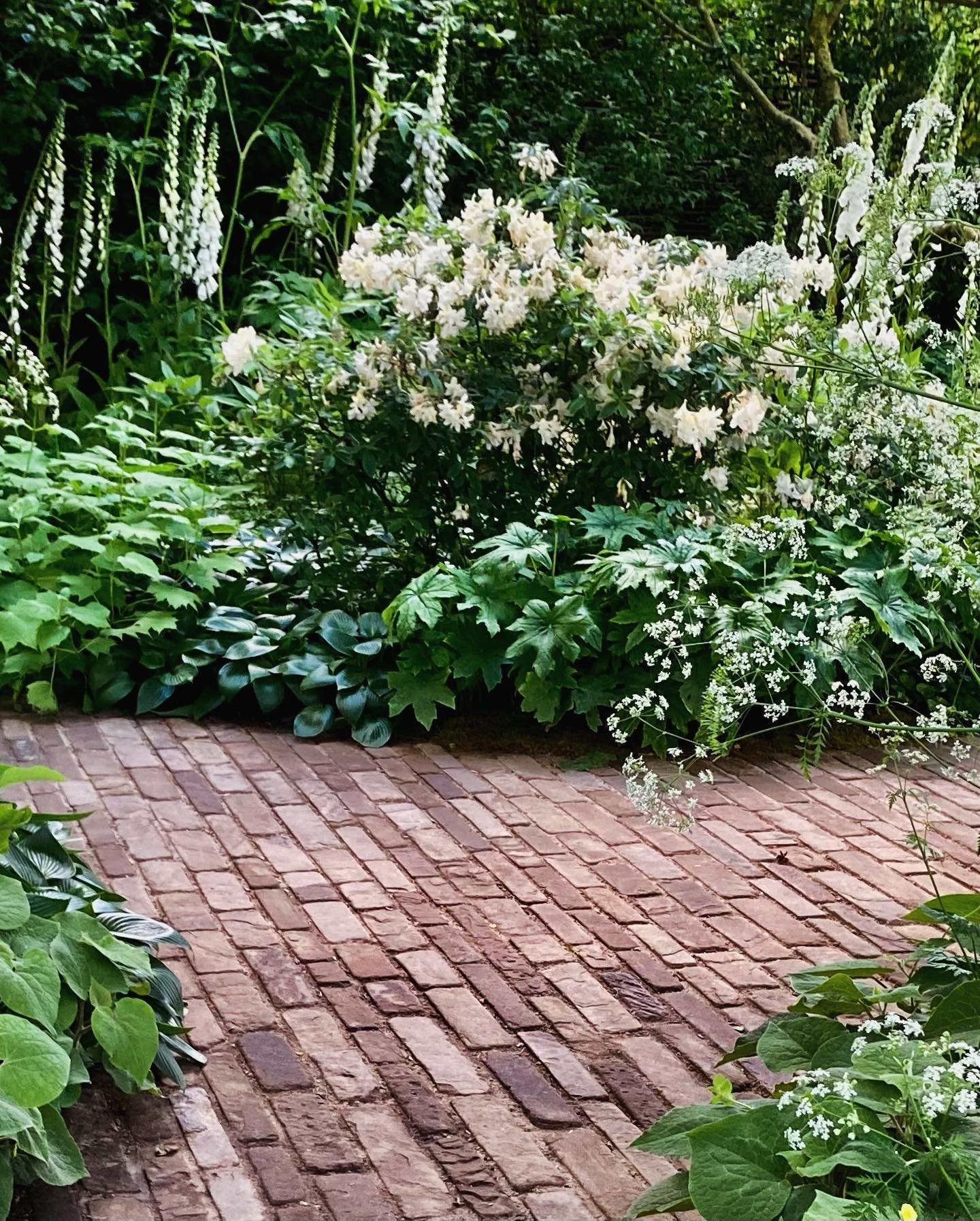 Chelsea 2024 obsessions #4: the footpaths #rhschelsea #path #gardendesign #cotswoldgardenstudio