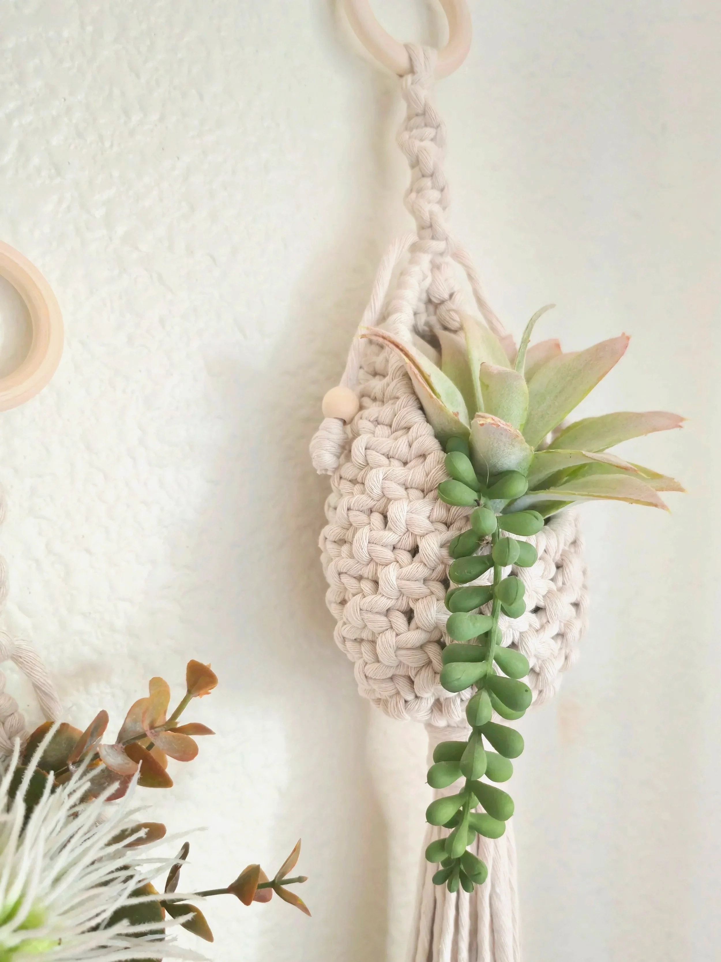 HangTight_AirPlantPods_Natural+%282%29.jpg