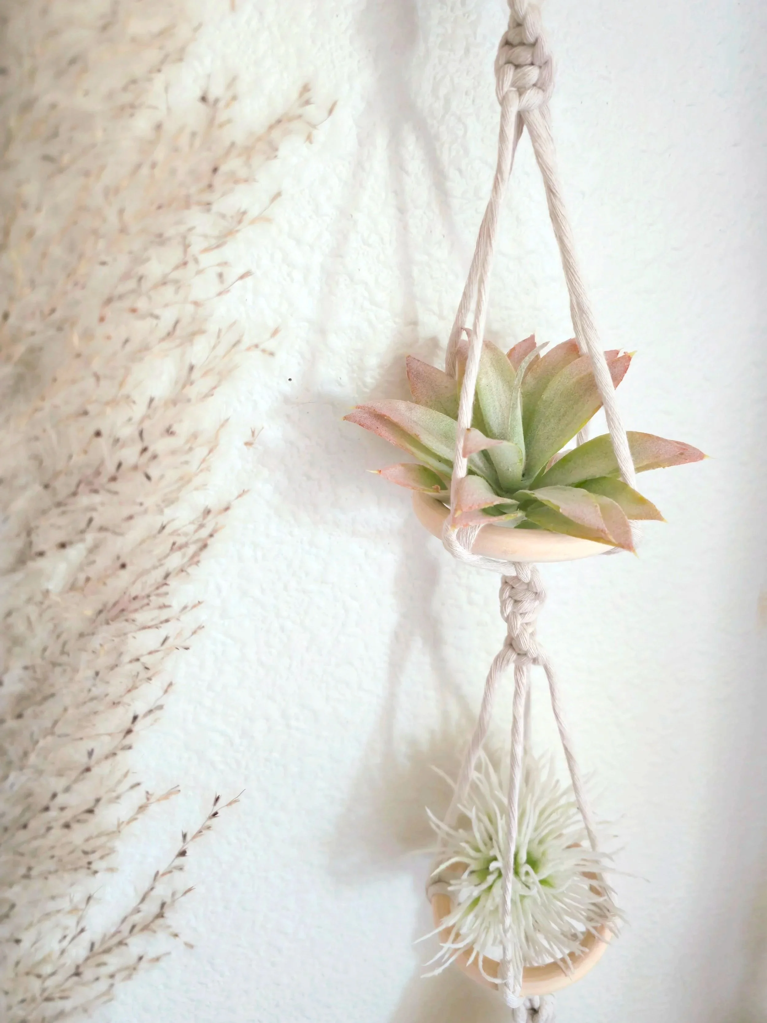 HangTight_3Tier_AirPlantHanger+_Natural%282%29.jpg