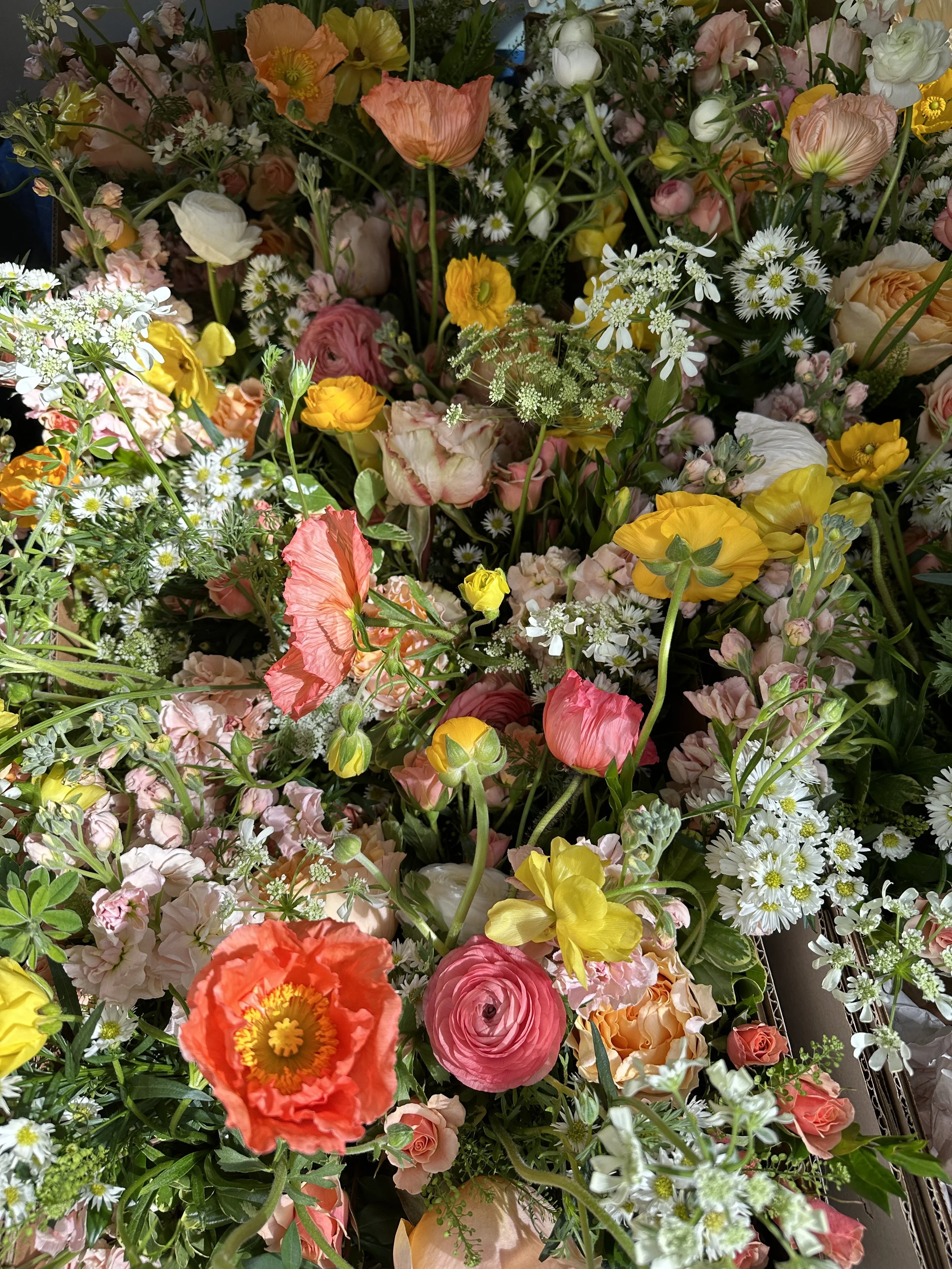 A diverse arrangement of colorful flowers, including pink, yellow, orange, and white blooms, with various shapes and sizes of petals, surrounded by green foliage.