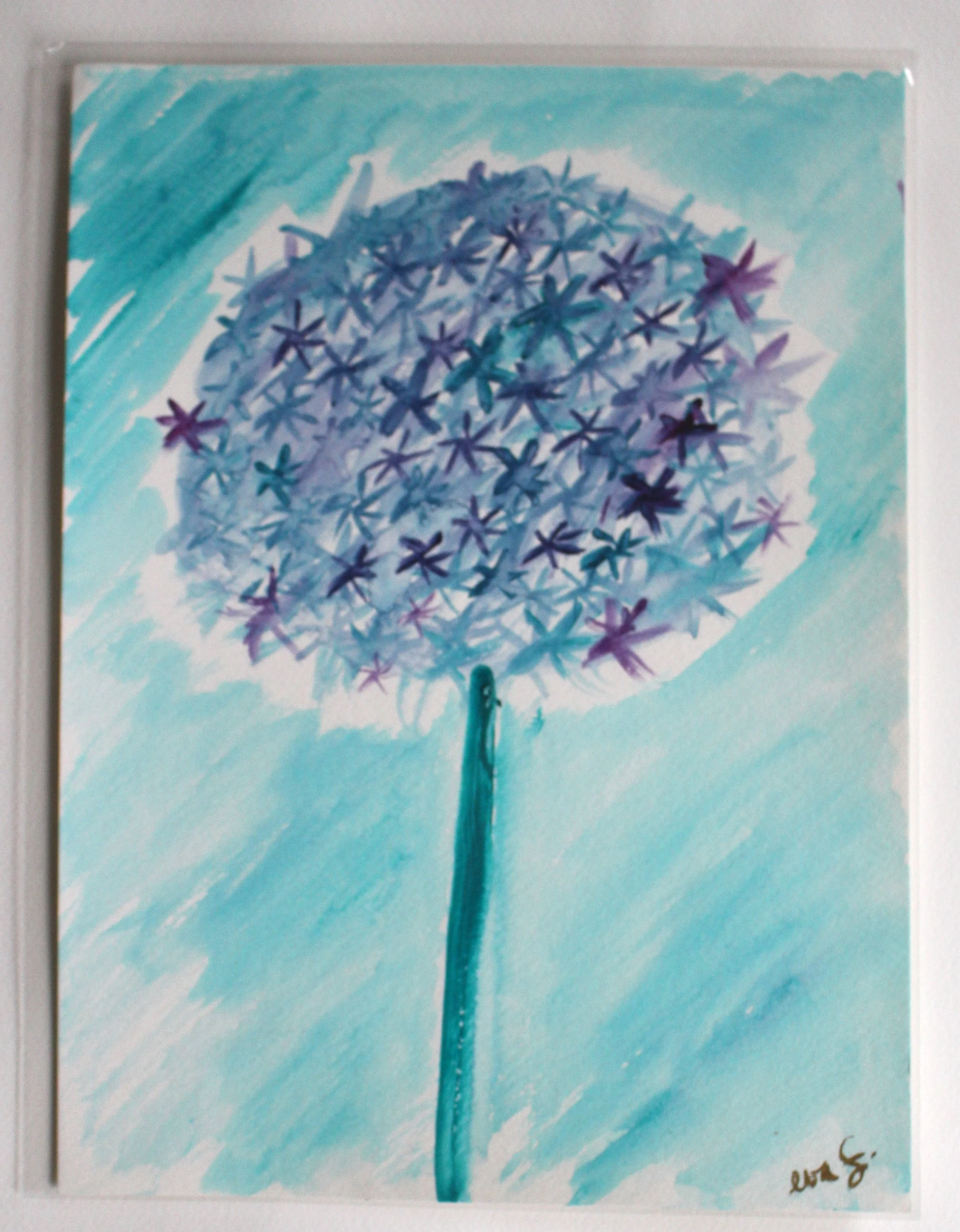 Allium #2