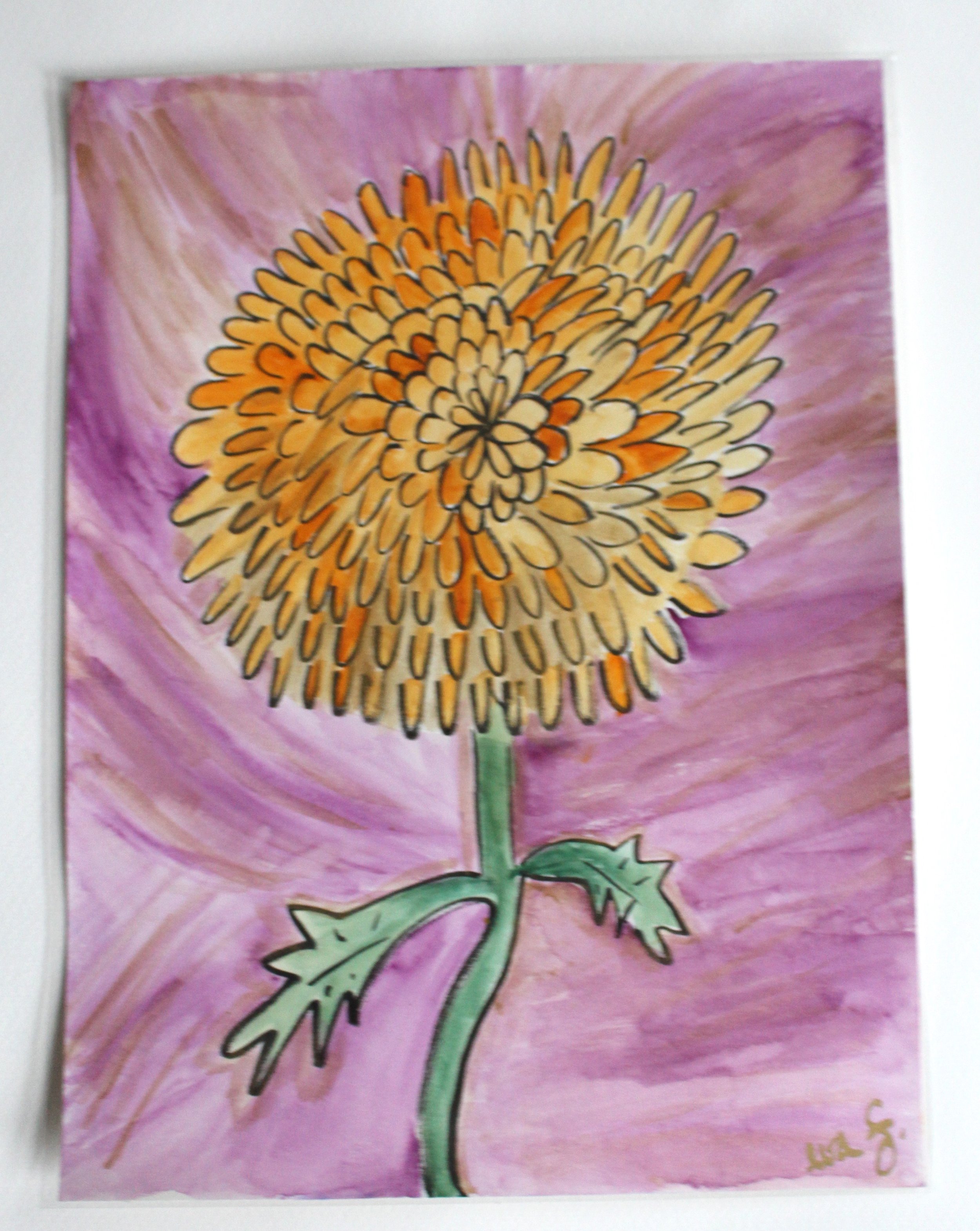 Chrysanthemum