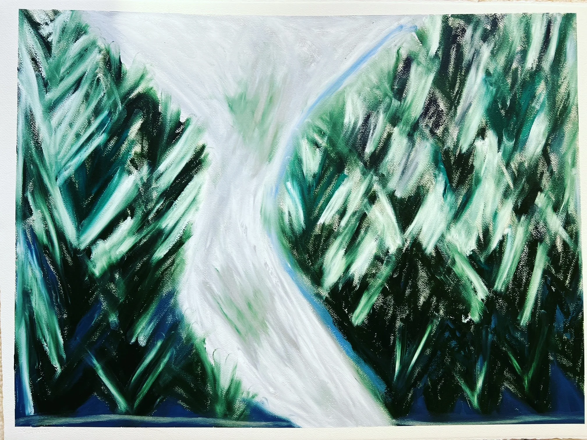 White ski run with trees