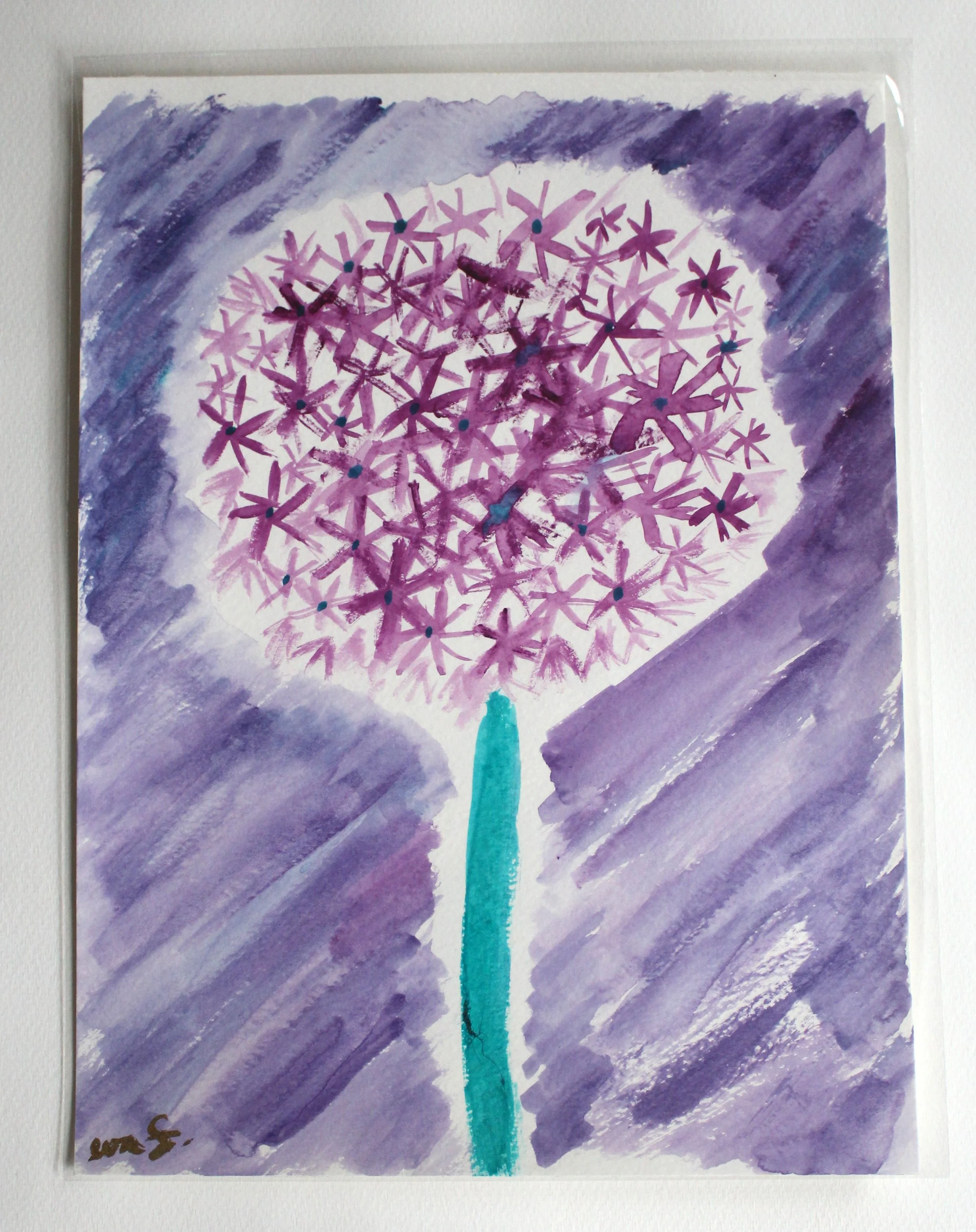 Allium #1