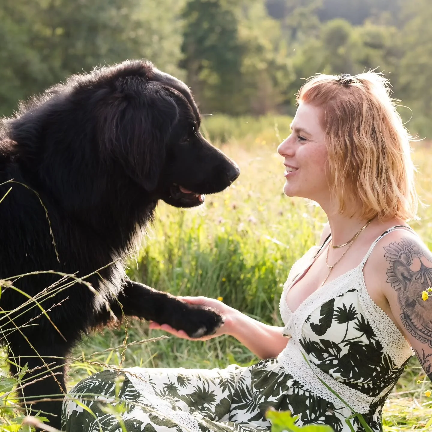 Lernen darf leicht sein &ndash; f&uuml;r Mensch und Hund. 🐕💚

In meiner Hundeschule begleite ich euch gewaltfrei, fair und mit Herz.

Mein oberstes Ziel = euch zu einem tollen Team zu machen 🤩

#hundeliebe #hundeschule #hundeschuleobandlt #hundesc