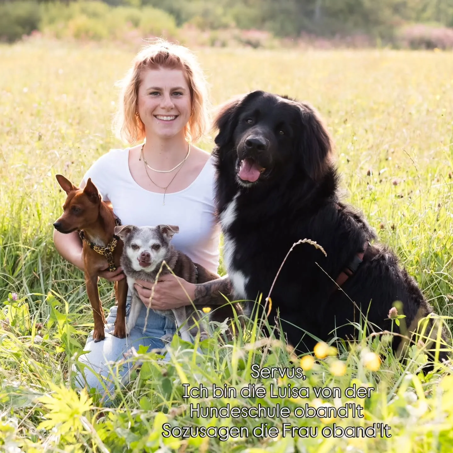 Servus,  ich bin die Luisa von der Hundeschule oband'lt, sozusagen die Frau oband'lt 😉

Bei mir bekommst du wirklich Hundetraining auf Augenh&ouml;he. Fairer Umgang mit Mensch und Tier, wie auch eine gute Stimmung ist mir mega wichtig. 

Jeder ist b