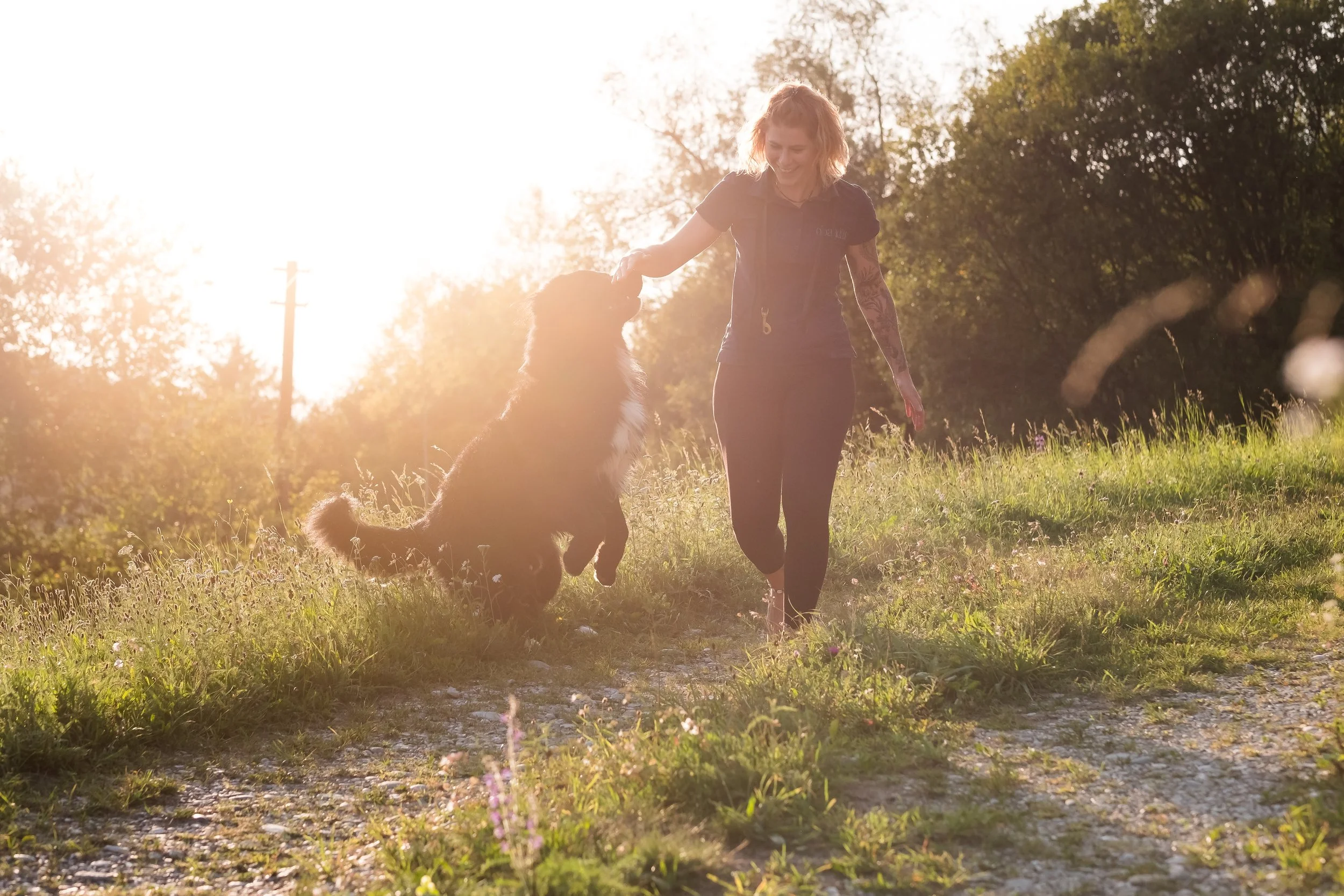 Eine junge Frau spielt mit einem Hund im Sonnenschein in einem grünen Park.