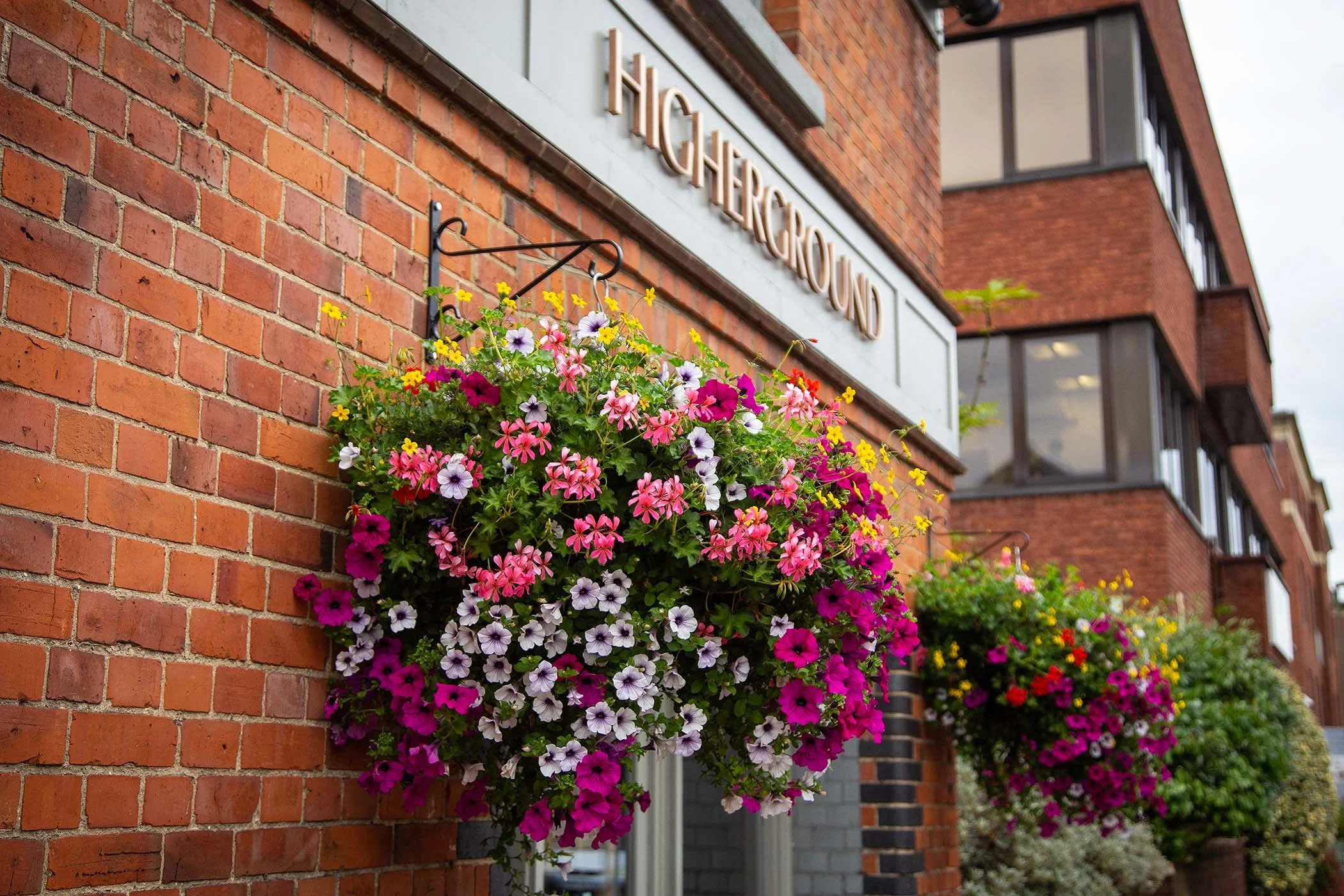 Work_Photography_Hampshire.jpg