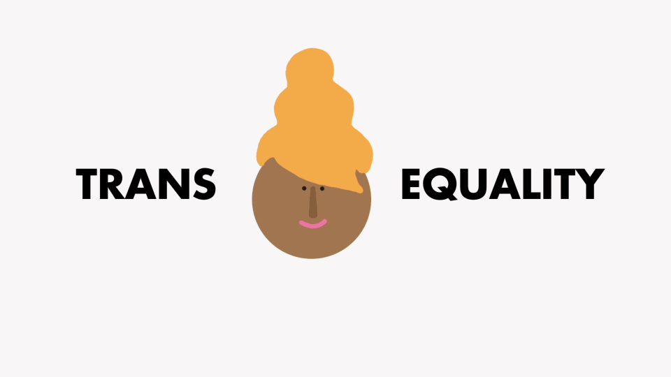 003_GIF_TransEquality.gif