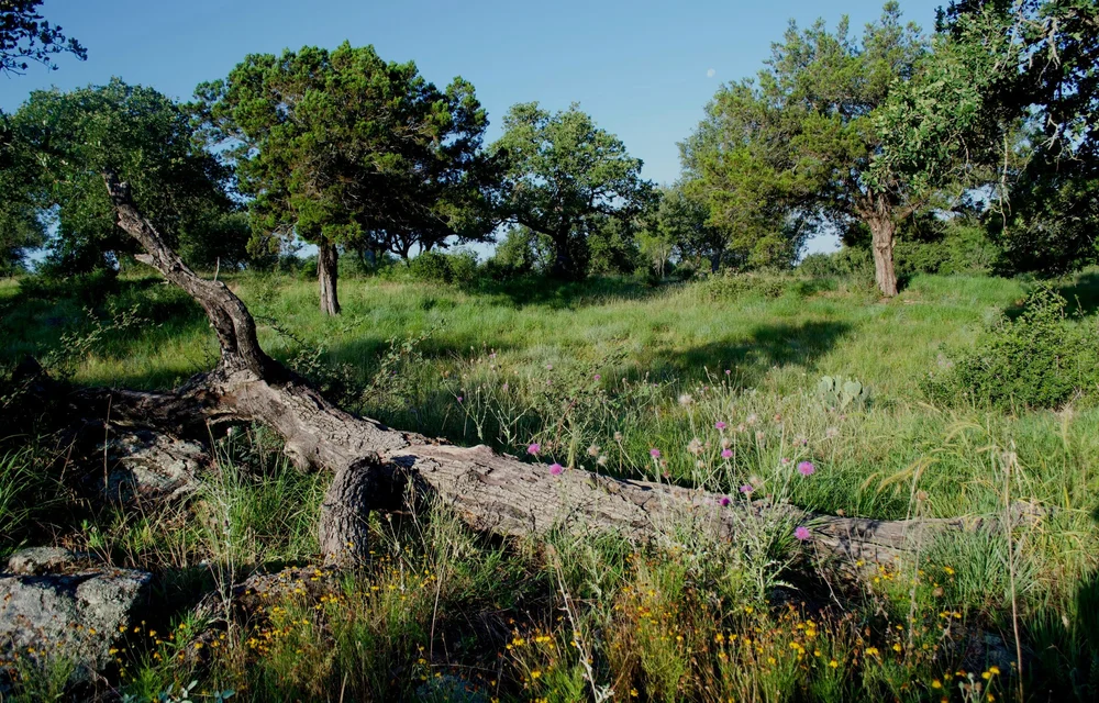 Horseshoe Bay Nature Park