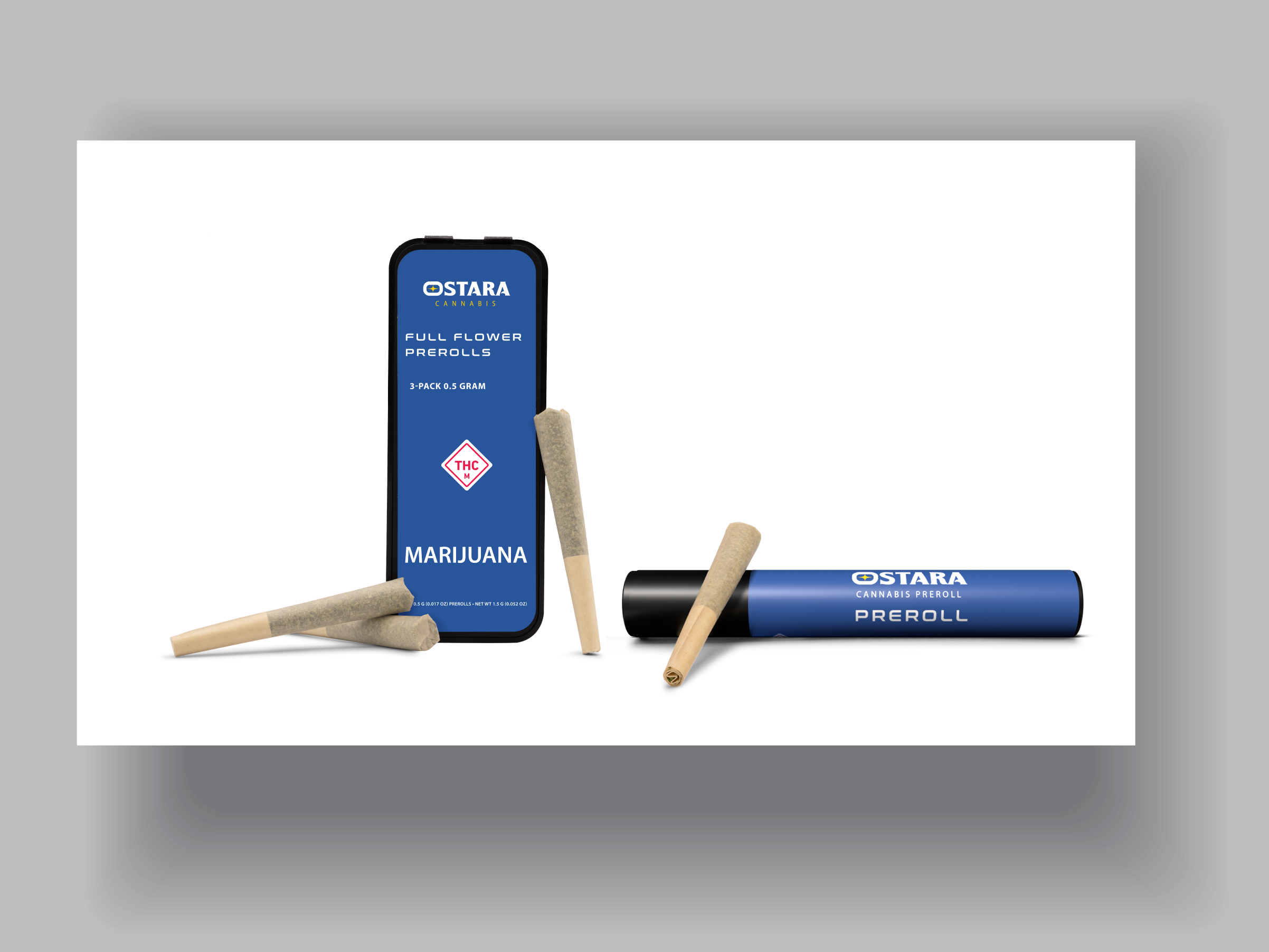 portfolio Ostara Galaxy Tabs template-04.png