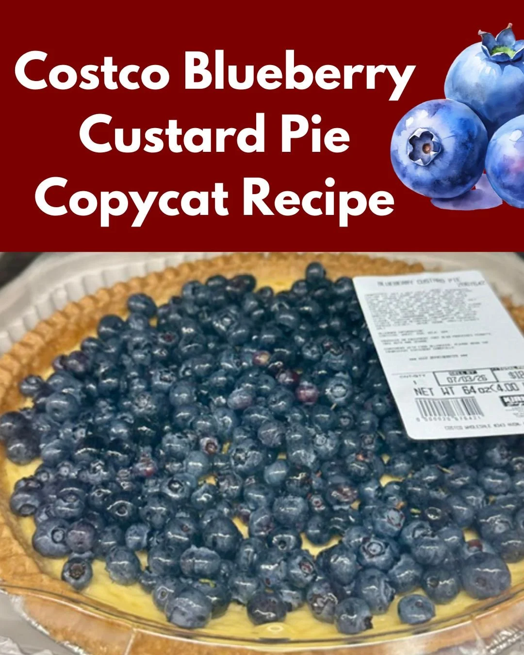 costcocustardblueberry.jpg