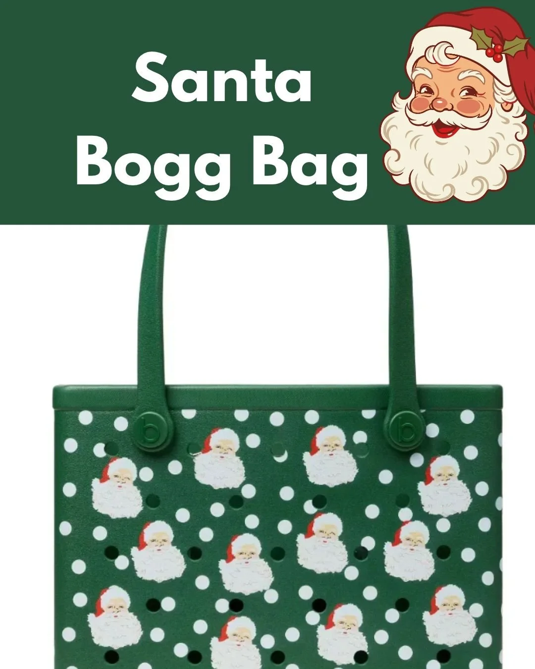 santabogg.jpg