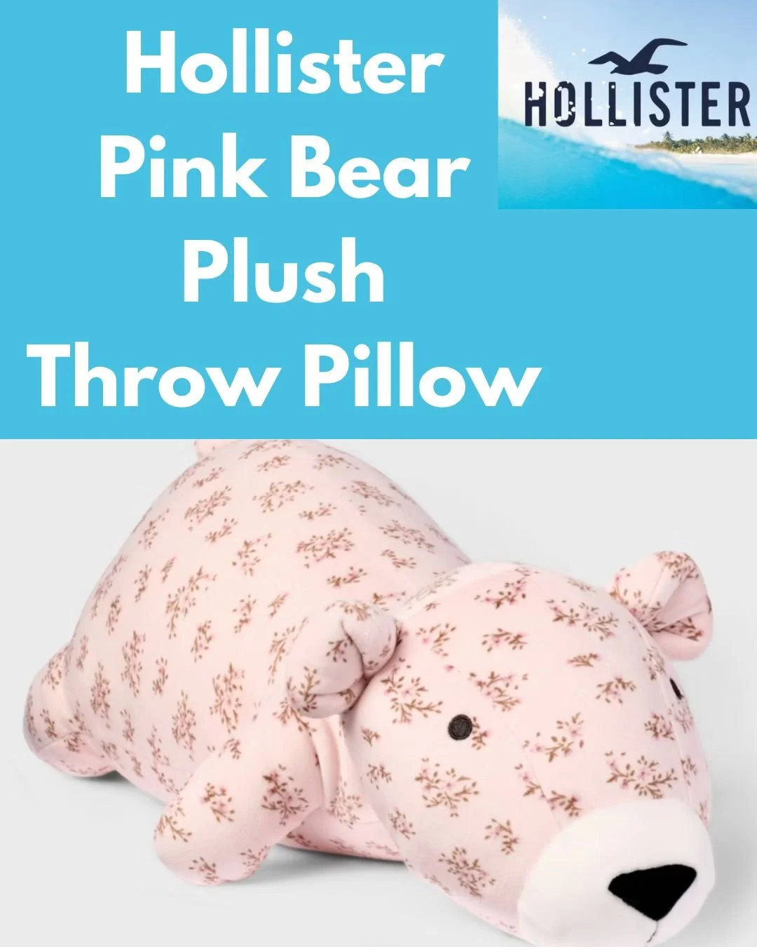 hollisterbear.jpg