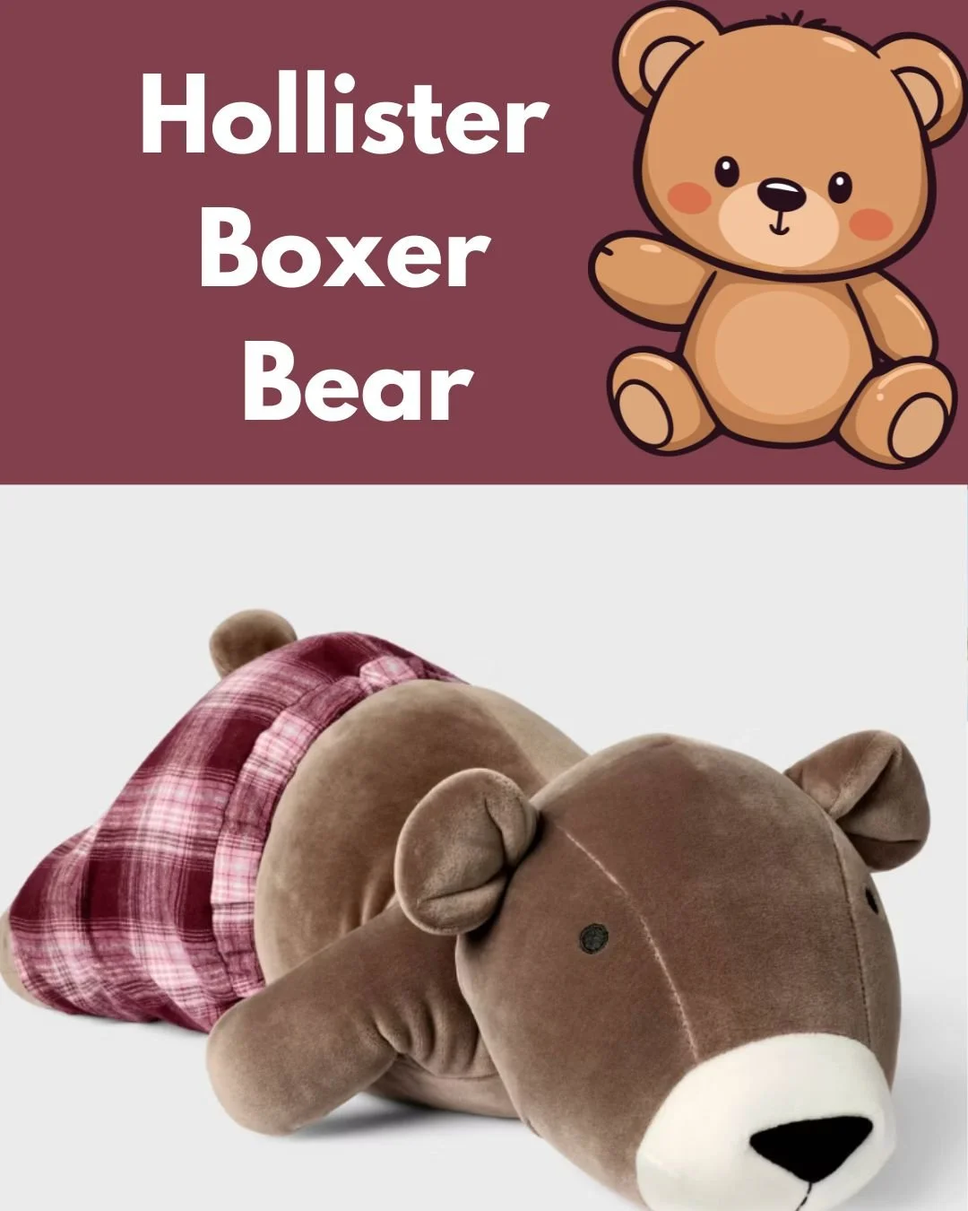 hollisterbear.jpg
