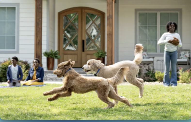 Screenshot 2026-03-23 at 12.48.40 PM.png