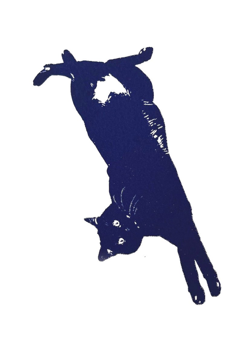 Floyd the Void