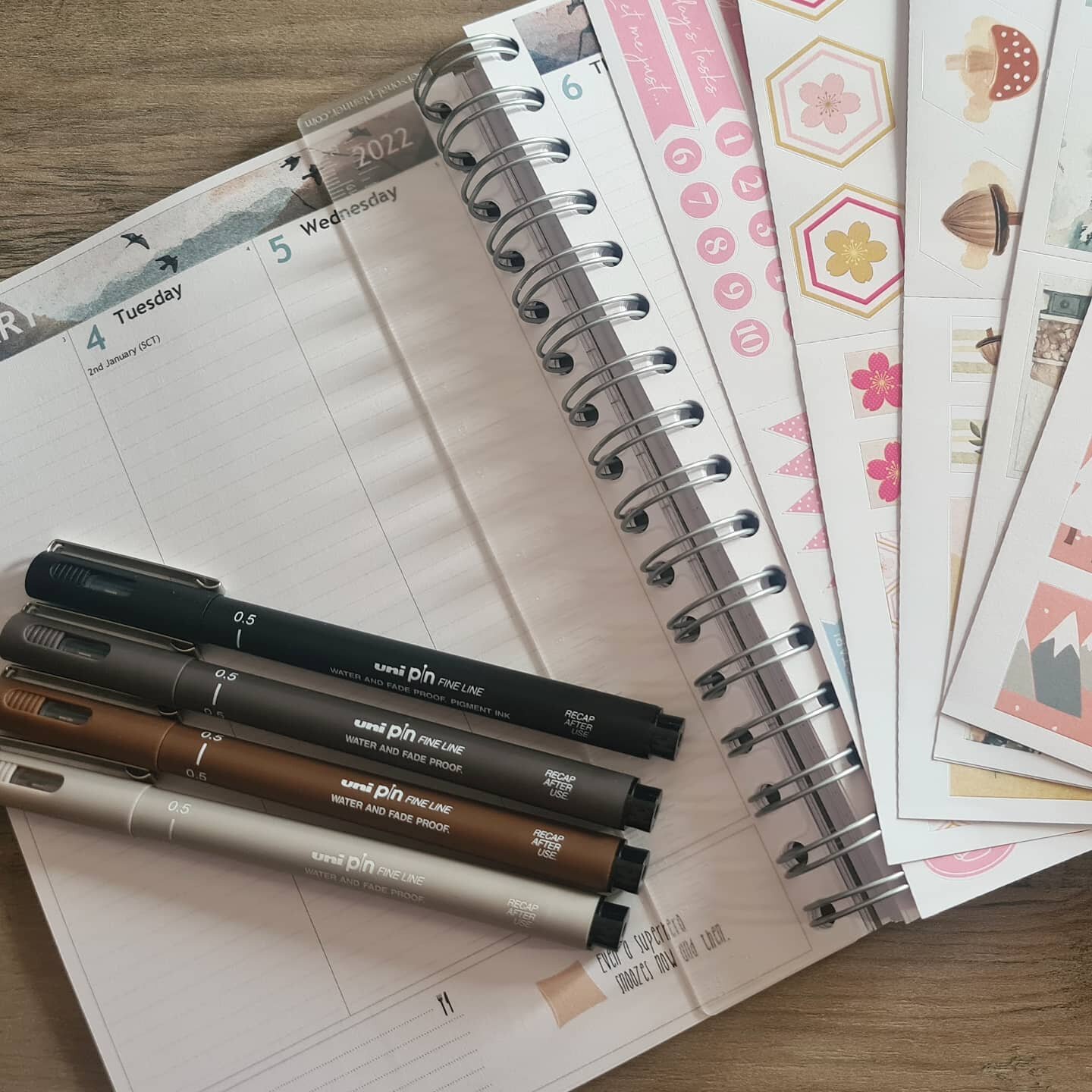 For quite a few years now I have got my yearly planner from @personalplanner even when I try something different I always come back to their planners. They just work for me.
So I am very excited to be able to use for work and home and got some new pe