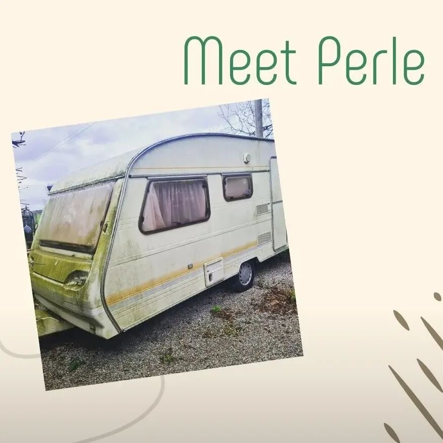 For anyone that is interested check out my second account all about our caravan restoration. 

We are just getting started with her and am super excited.

@perlethevan