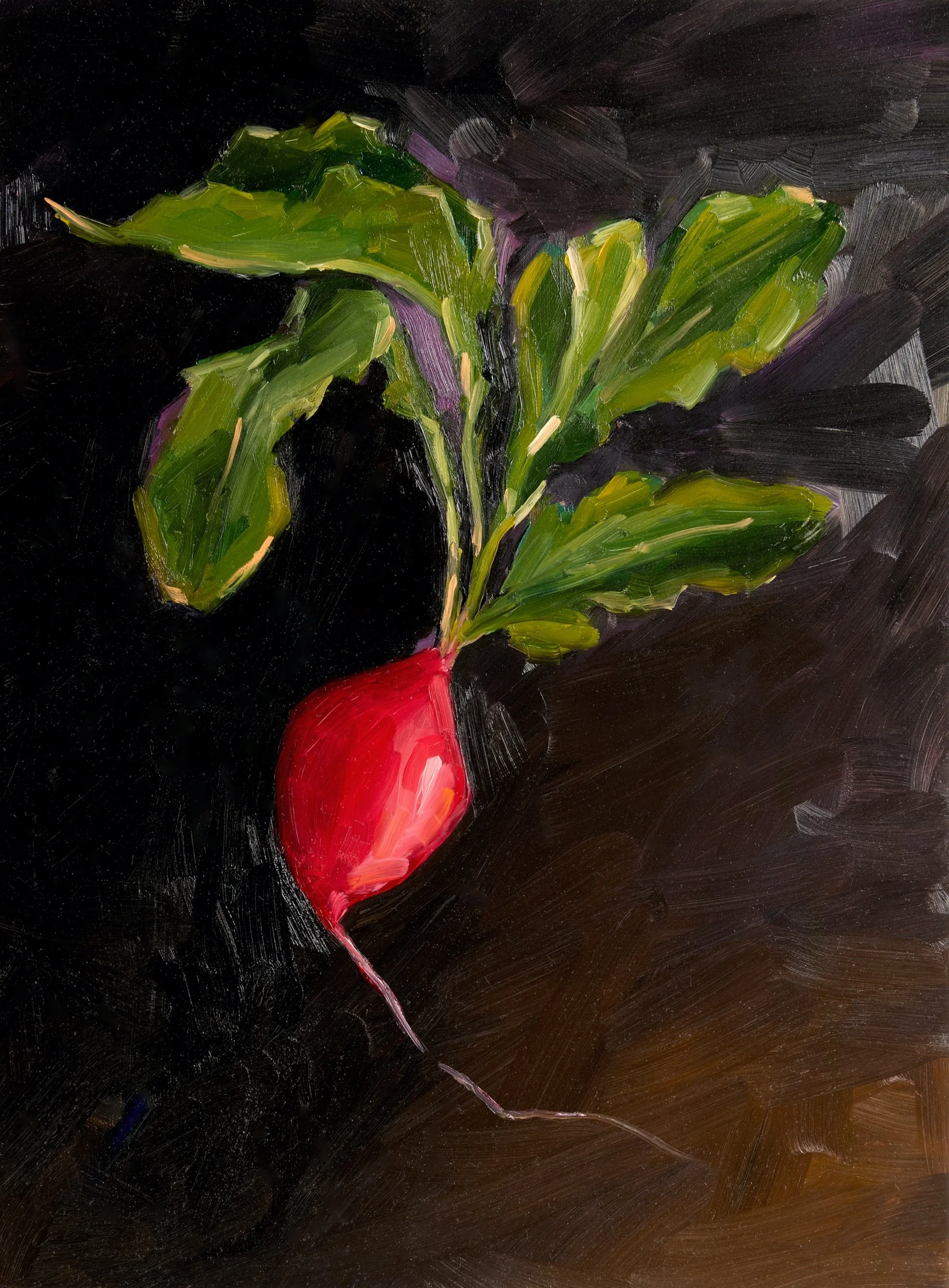 HJ radish.jpg