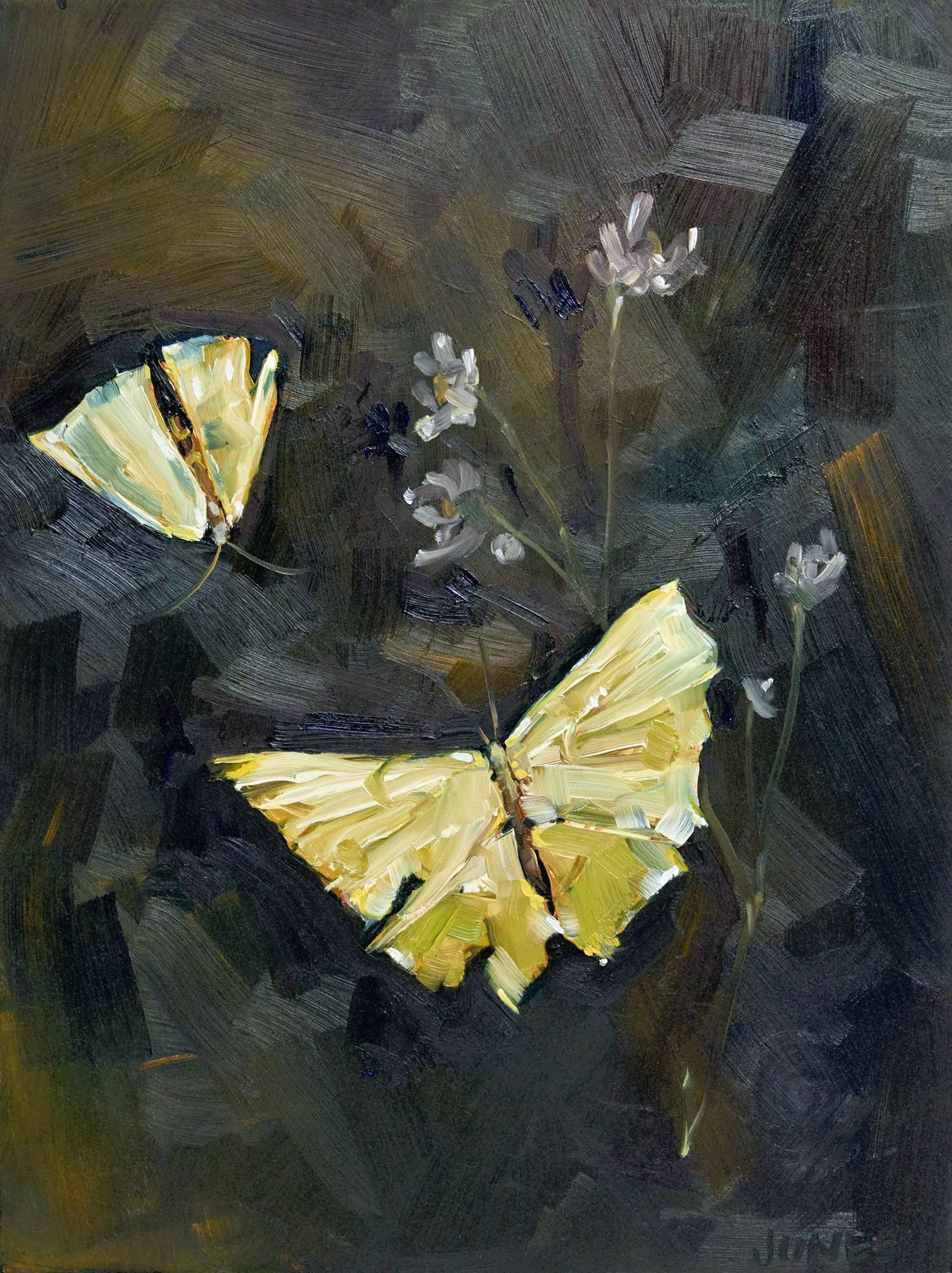 HJ butterflies.jpg