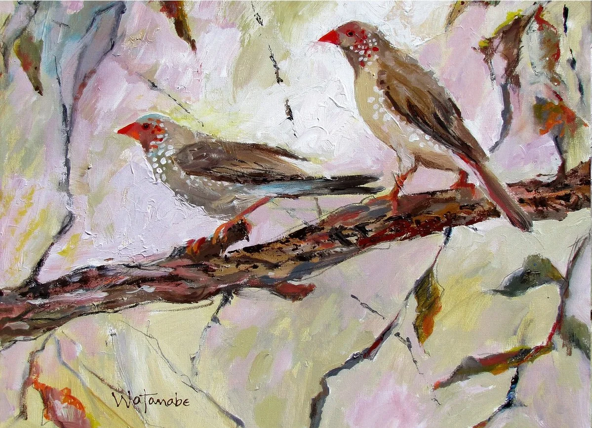 Australian Star Finches Placemat - Carole Watanabe