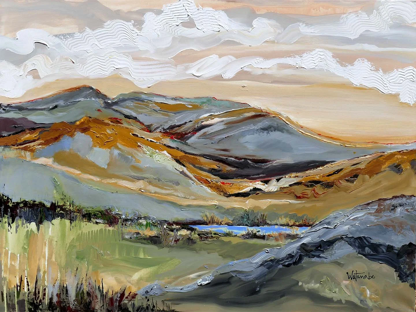 Apricot Skies - Carole Rae Watanabe