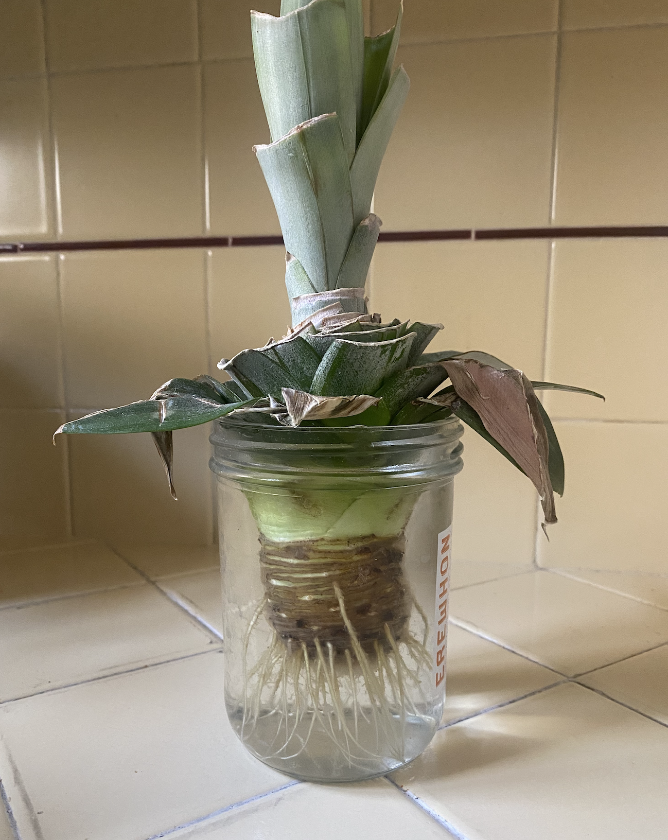 Remembering your roots