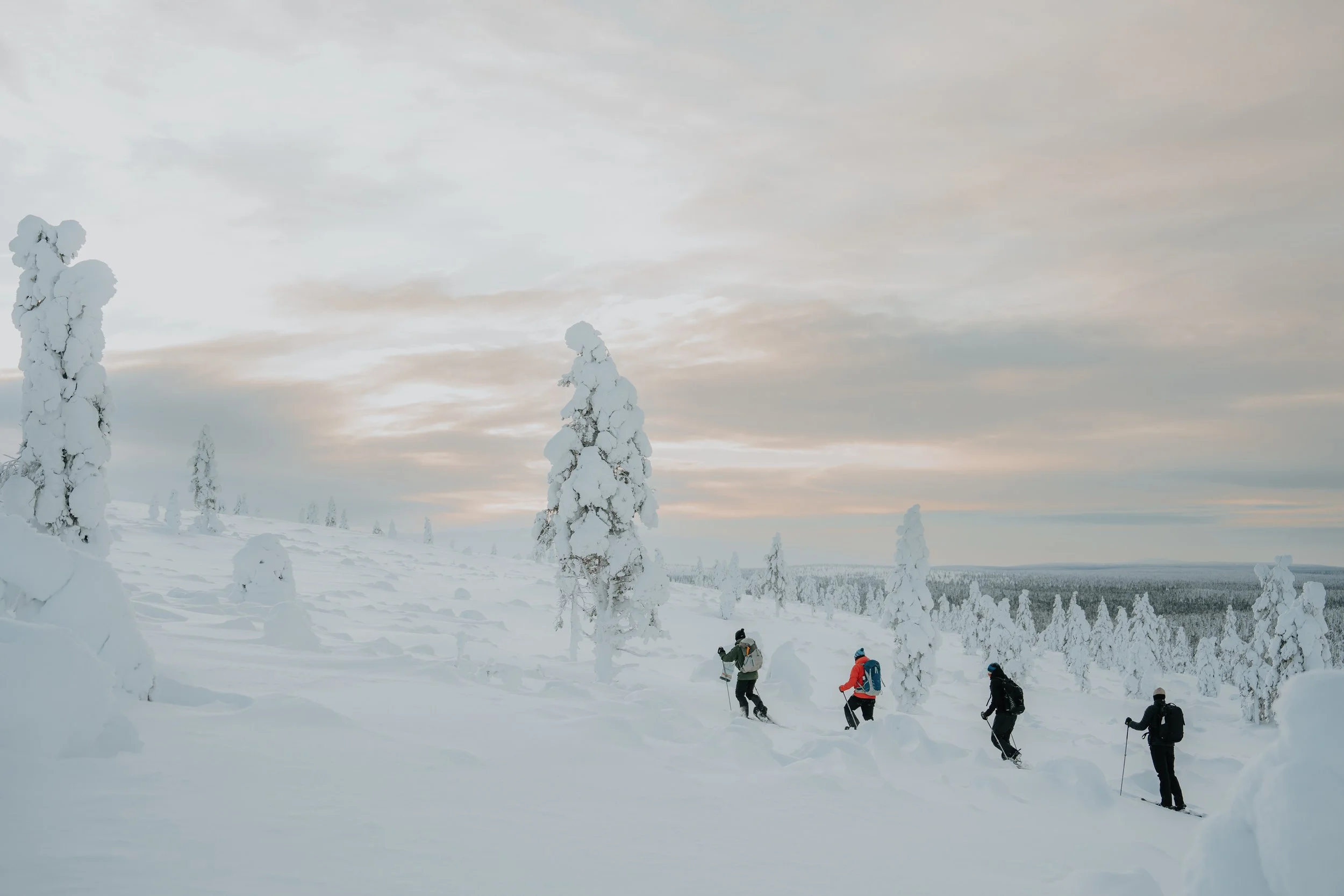 AV - Sidetracked Selects 2.jpg