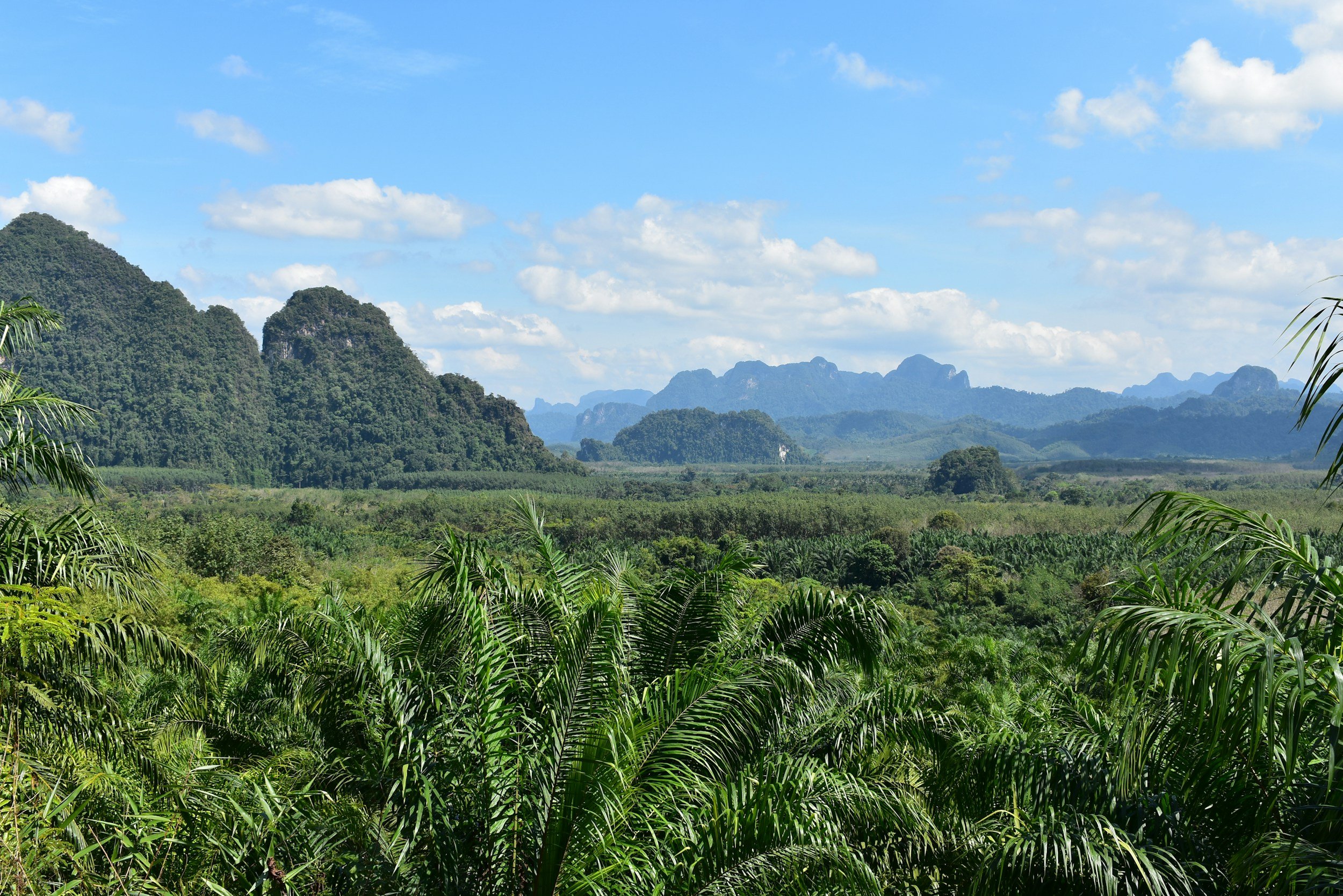 Cuc Phuong National Park