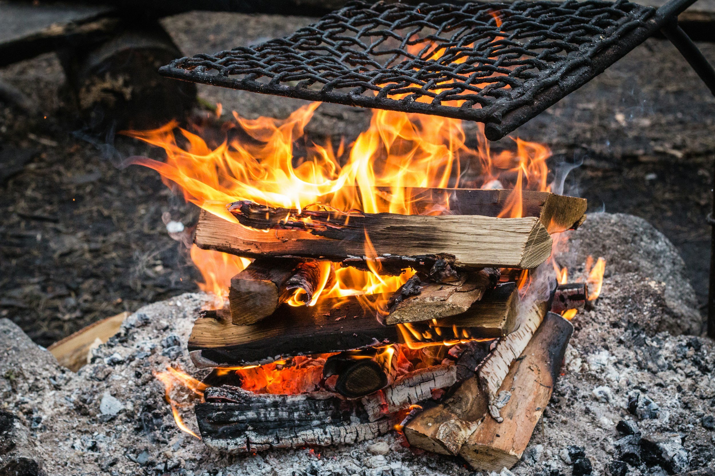 Campfire cooking