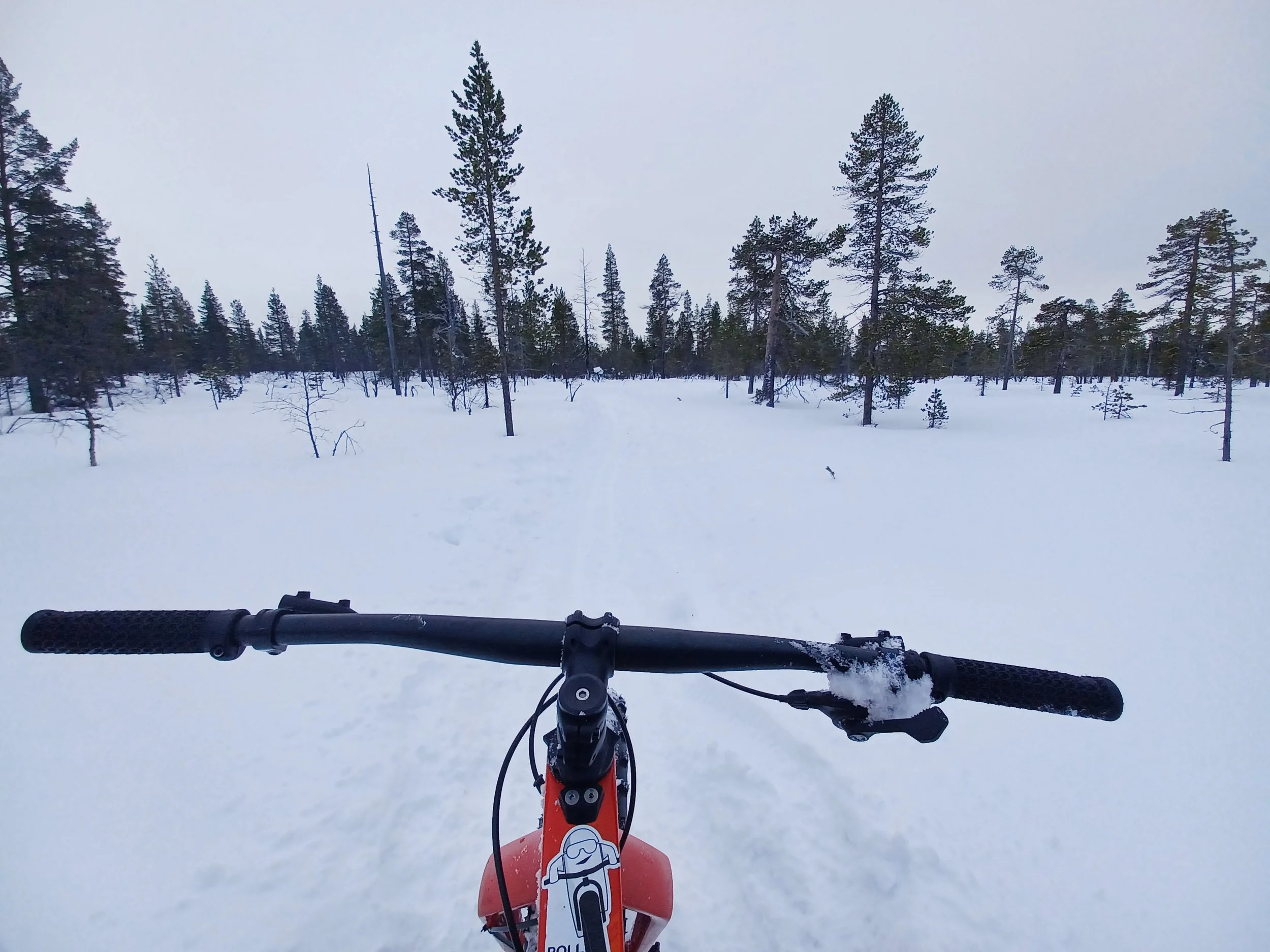 Fat bikes in Finland