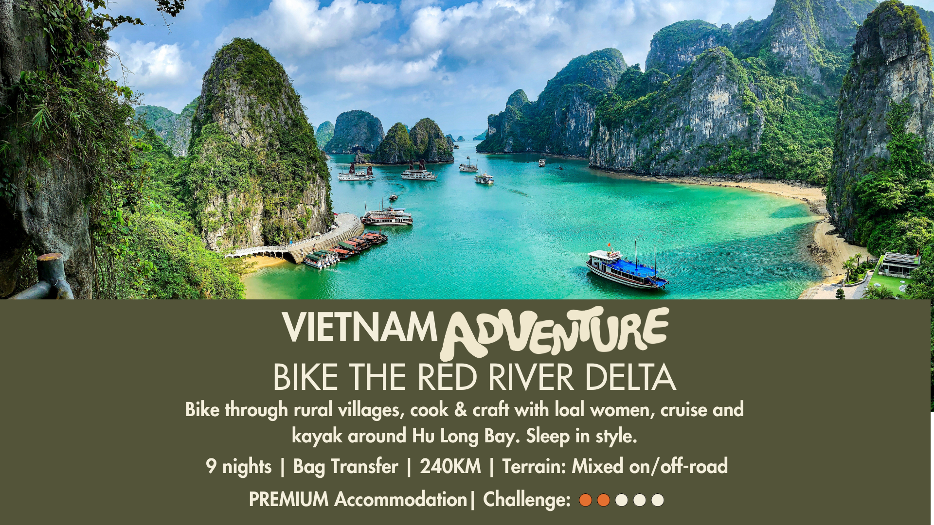 October 2026 / February 2027