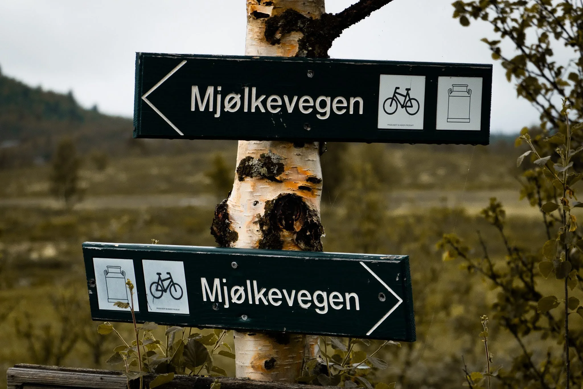 Mjolkevegen Norway