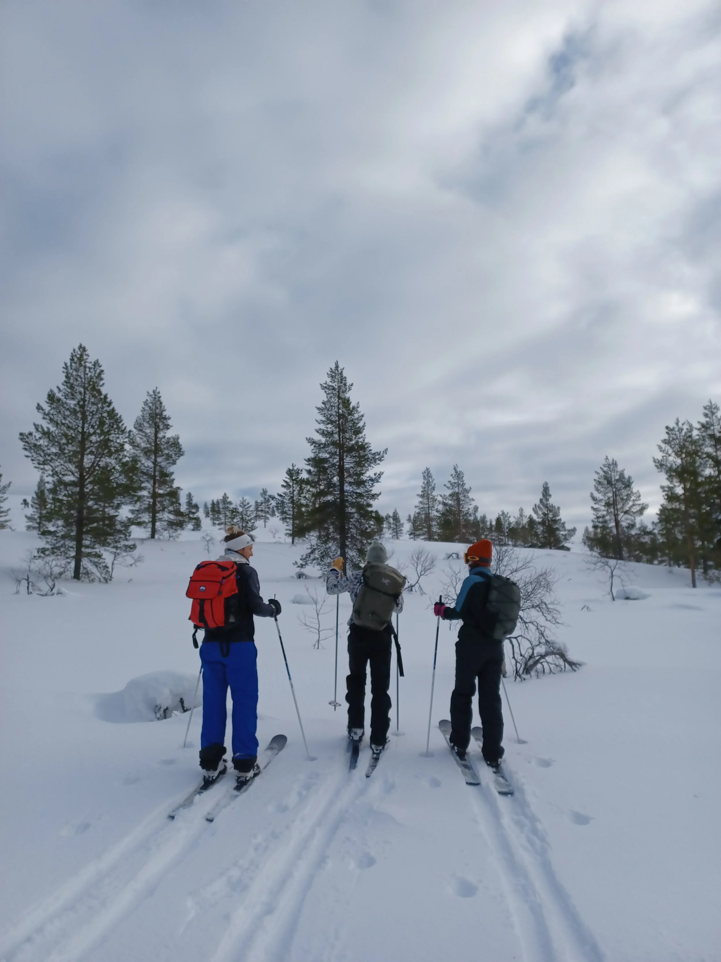 Cross-country skiing in Finland