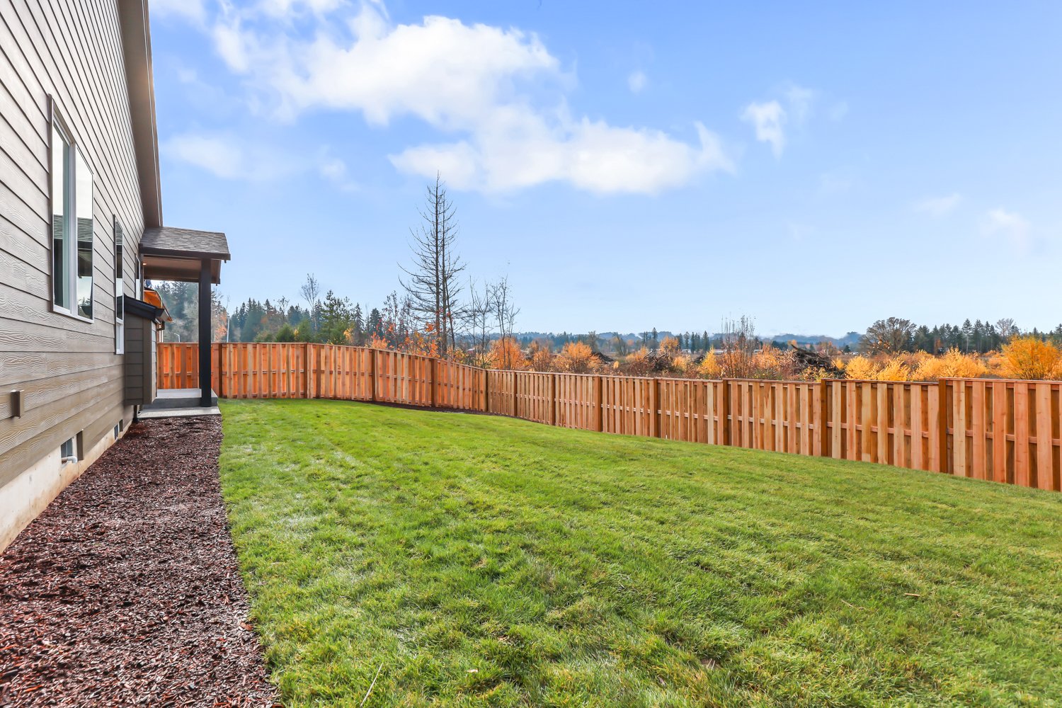 Back Yard, Grass, Fence.jpg